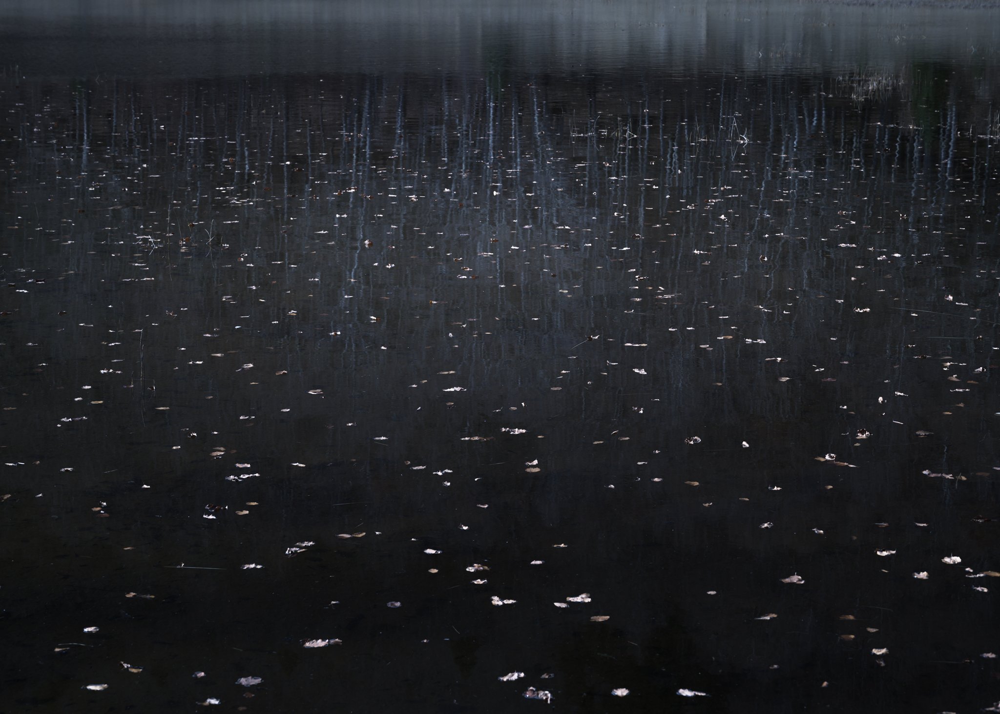 Solstice Series 24