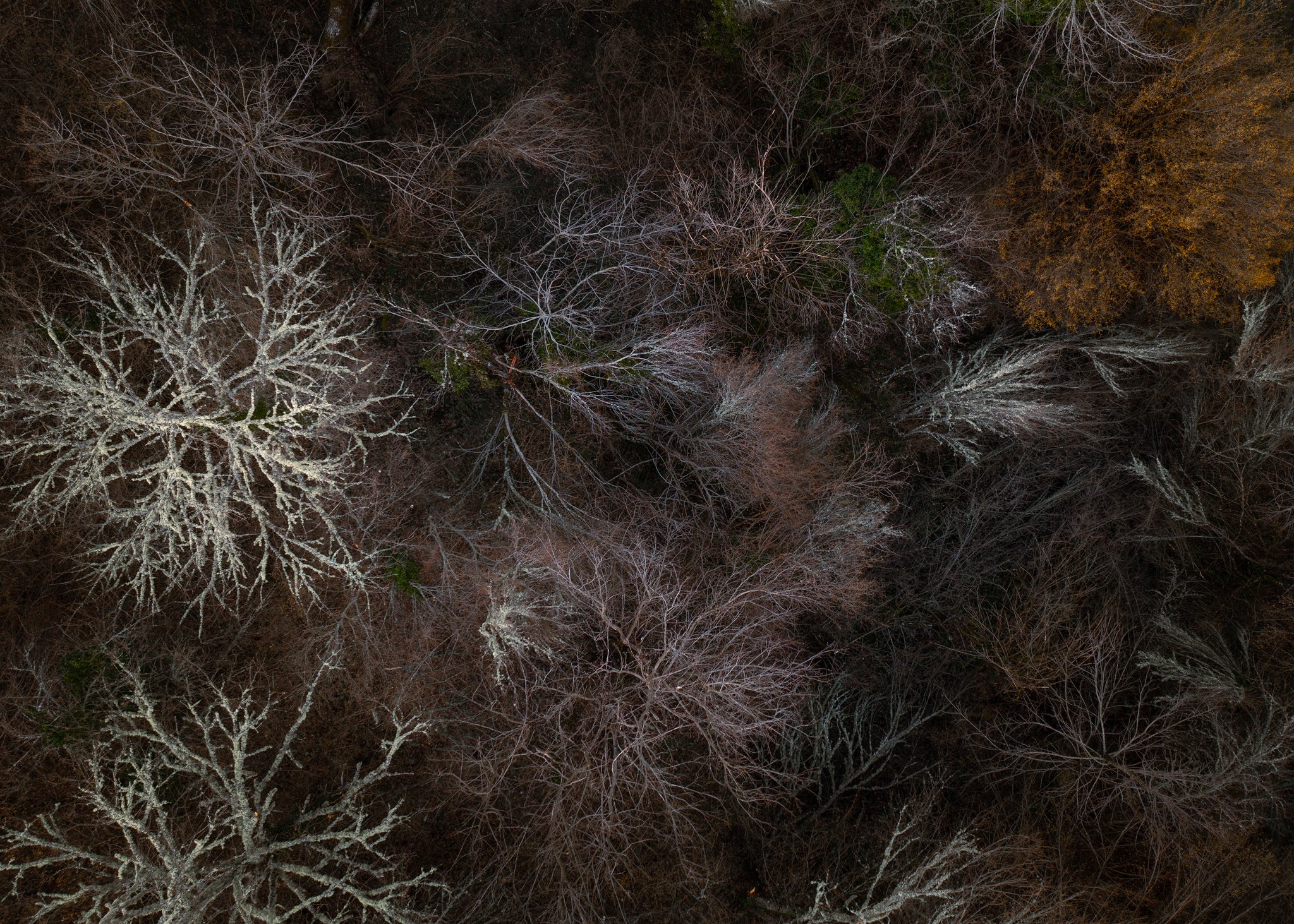 DJI_0662-sharpened.jpg