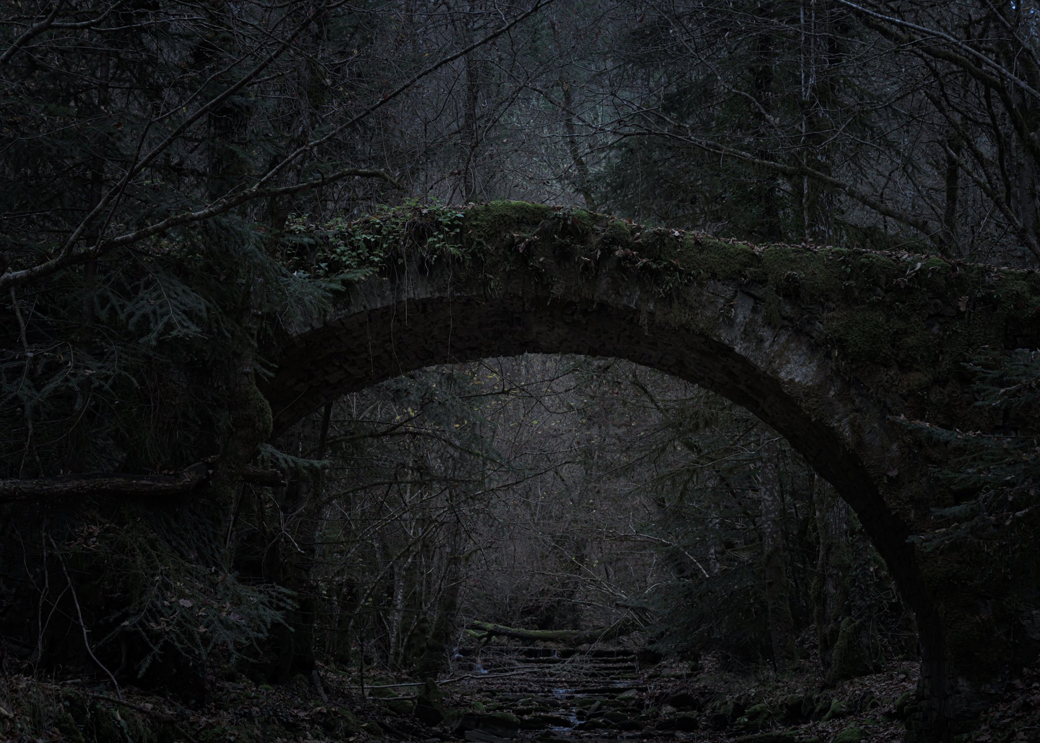An old moss-covered stone bridge arches over a shallow forest stream. The surrounding trees, bare and tangled, add to the bridge’s ancient, almost forgotten presence in the landscape.