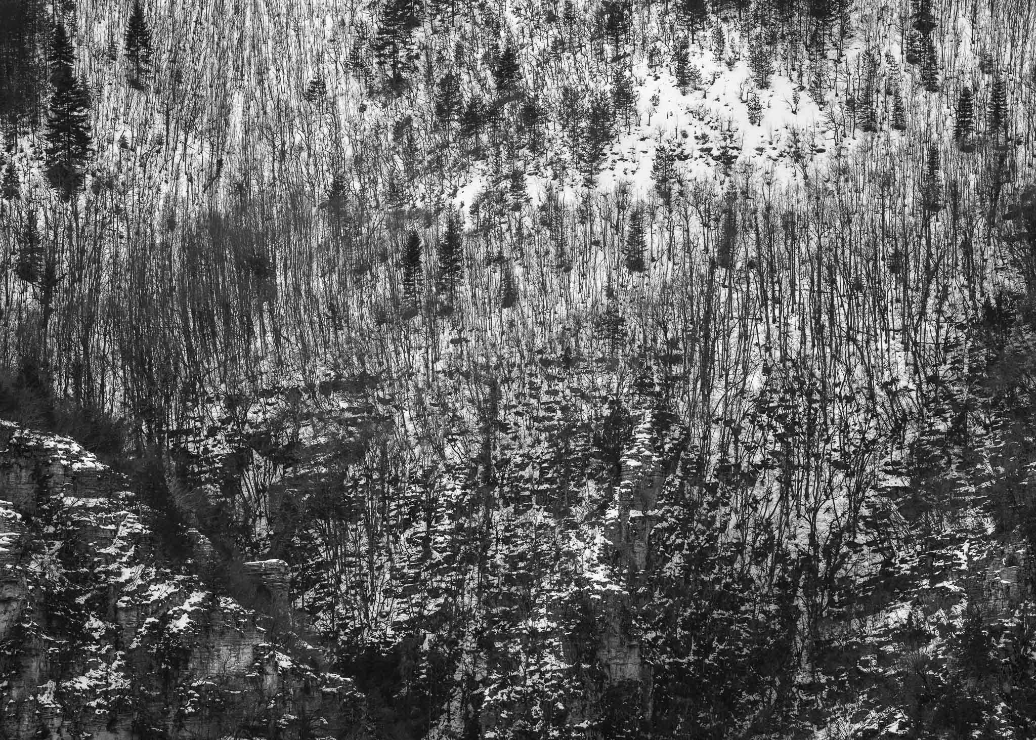Charcoal Land Series 04