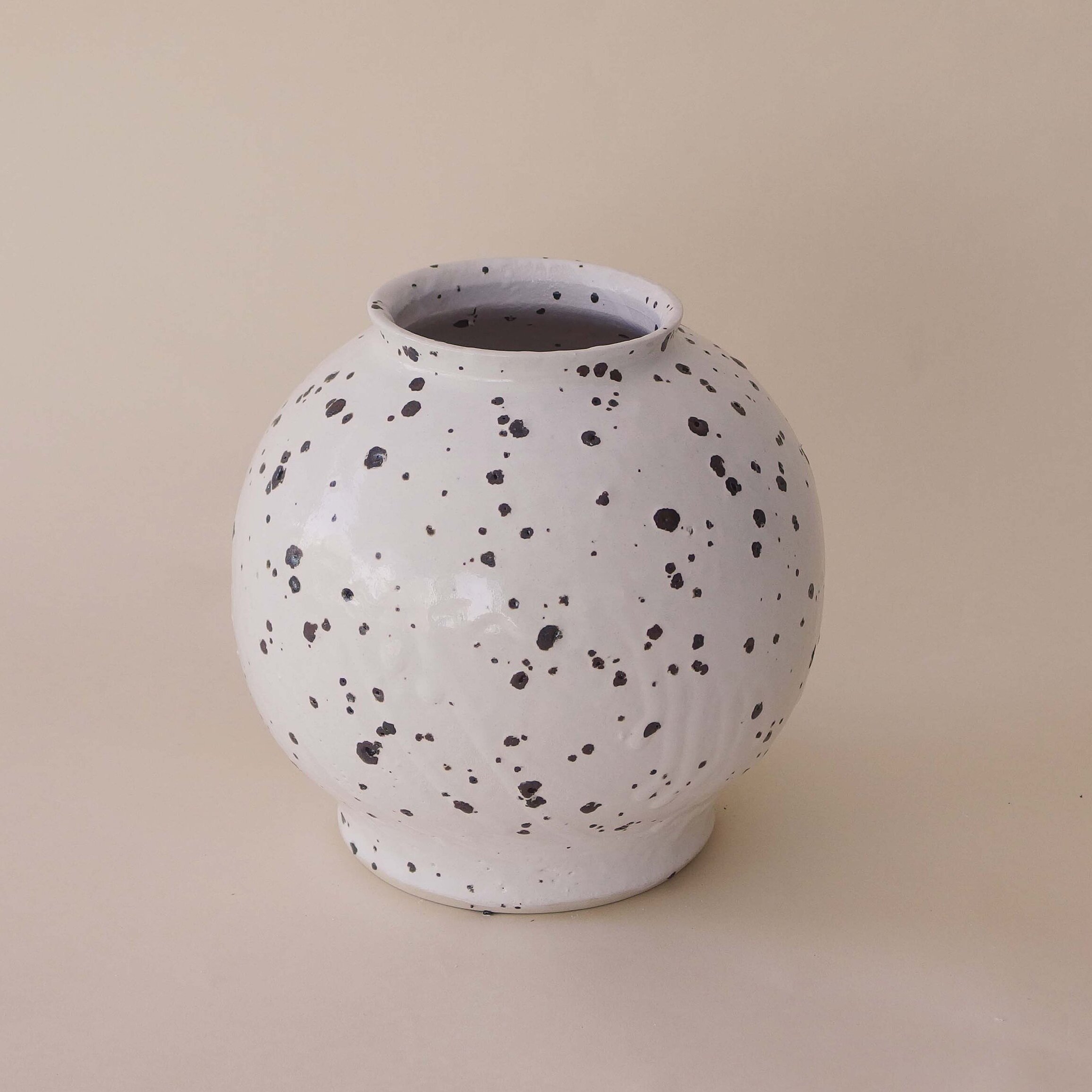 White Dalmatian Moon