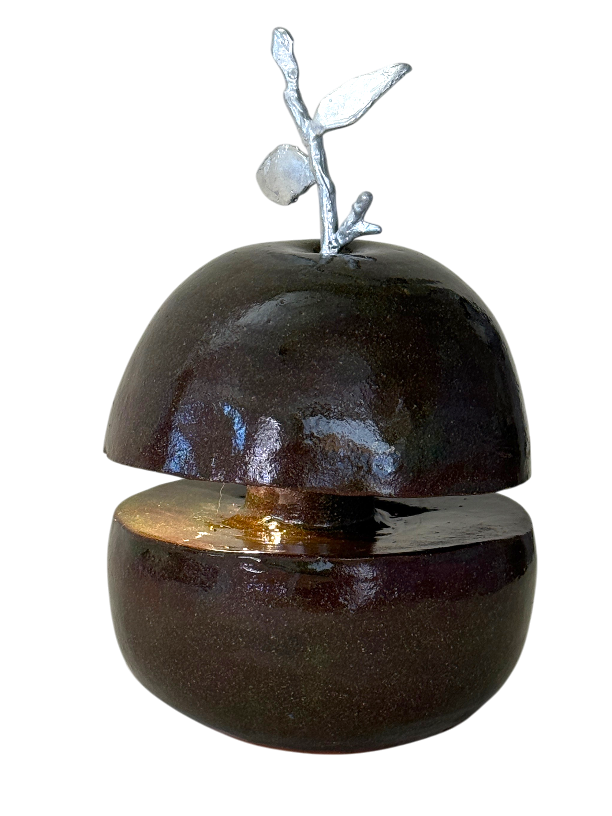 IMG_3117.png