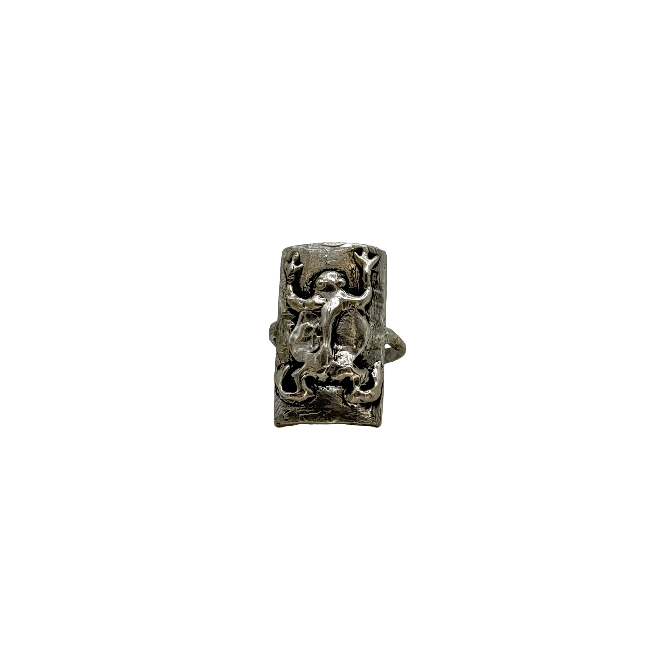 frog3.png
