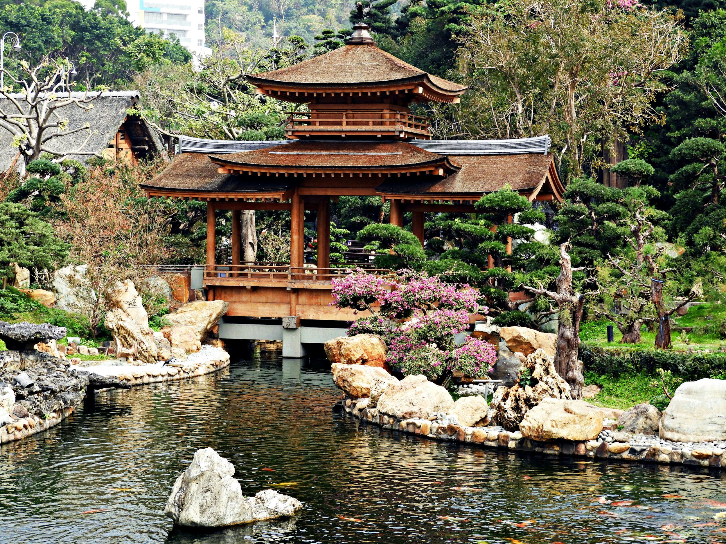 A Day of Discovery: The Chinese Canadian Museum