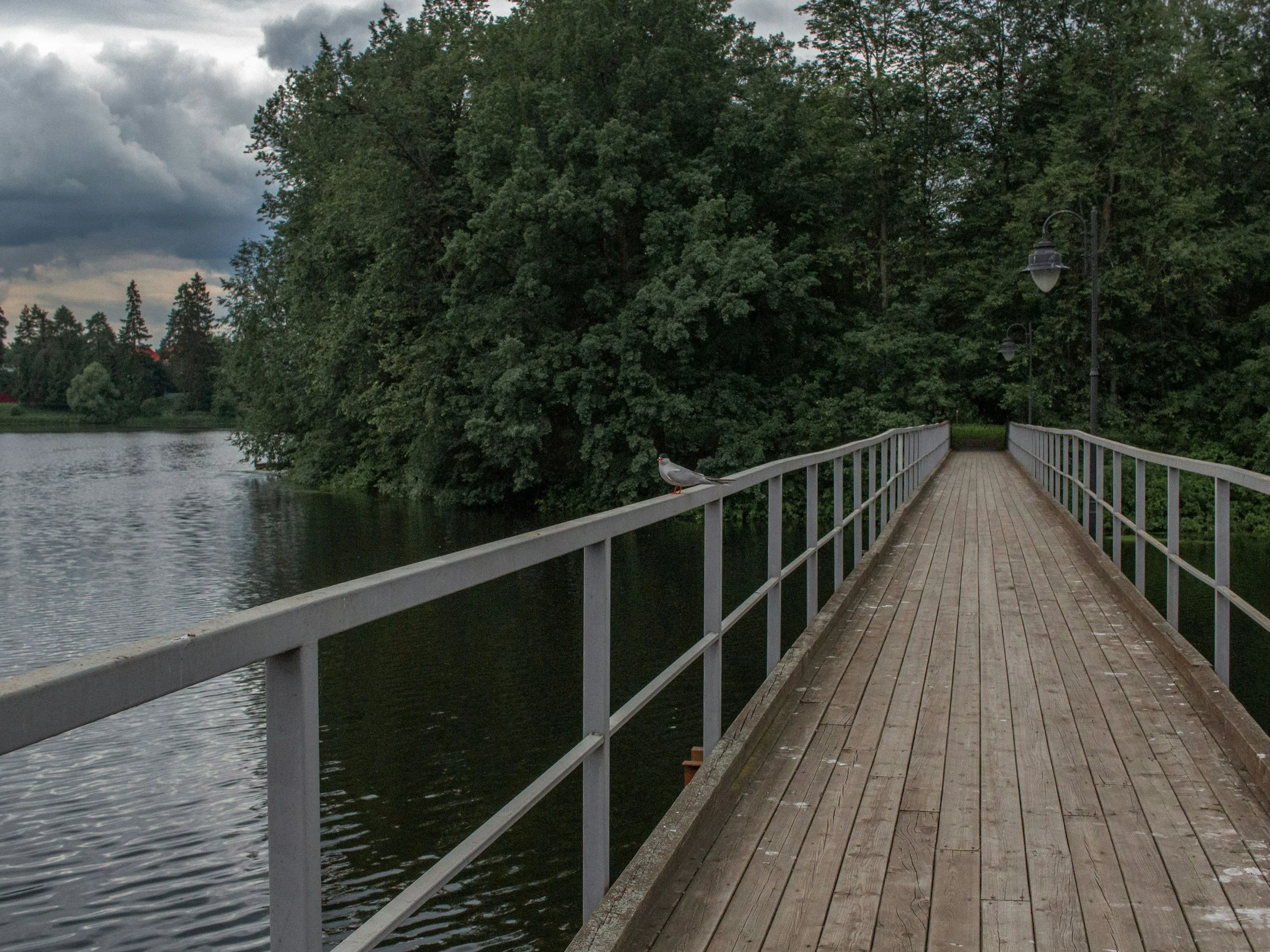 Rivers, Roads, and Railways: A History of Transportation in Delta
