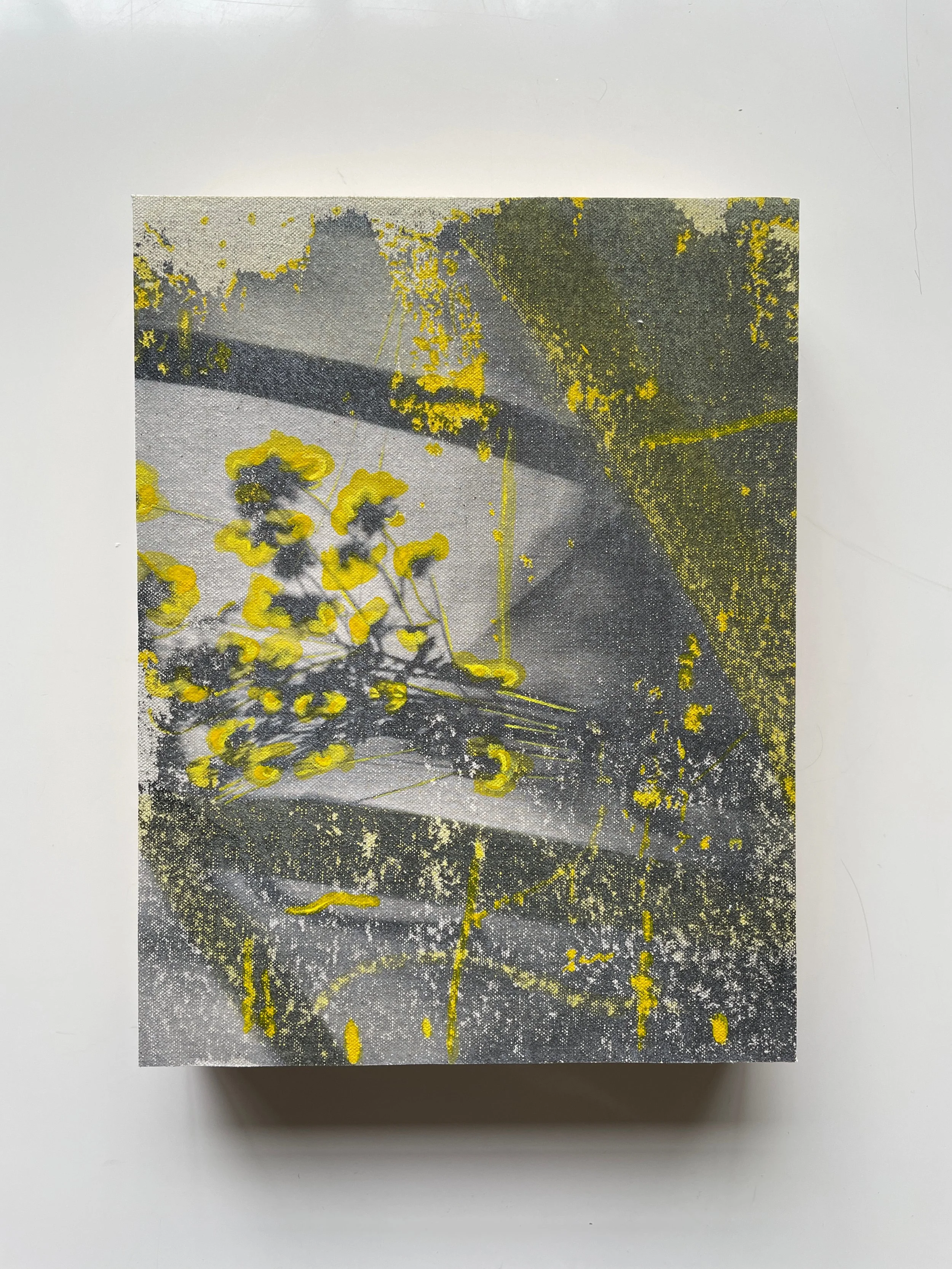 Susan Jedrzejewski, Daisy-Like I