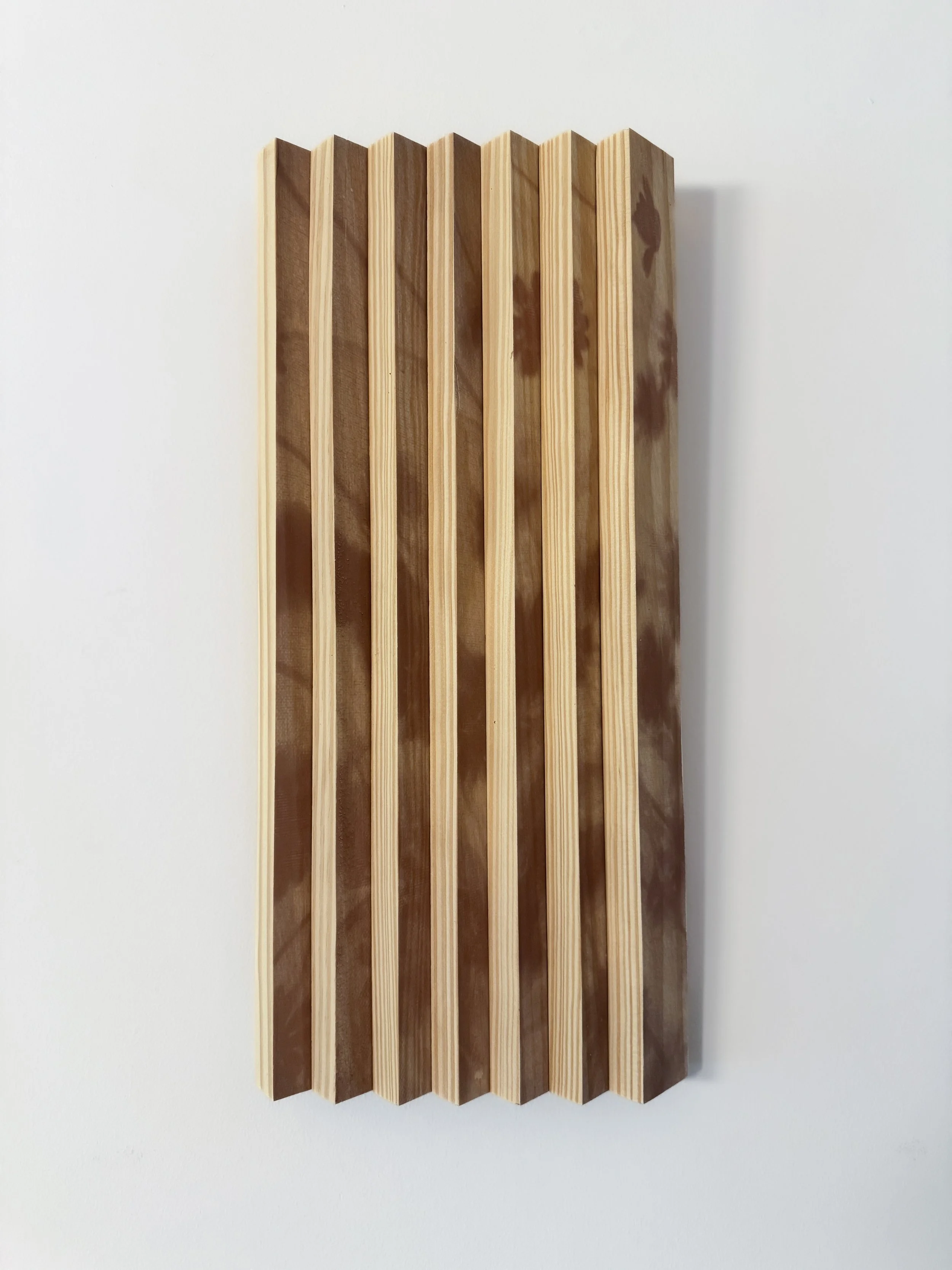 Full view: Fragment IV, wall-based pine work with natural imagery; image and object blur into a single surface.