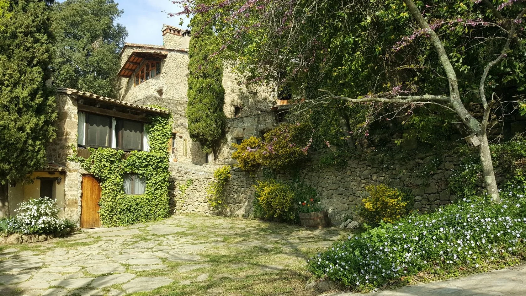 Rustic Suites Exterior.jpeg