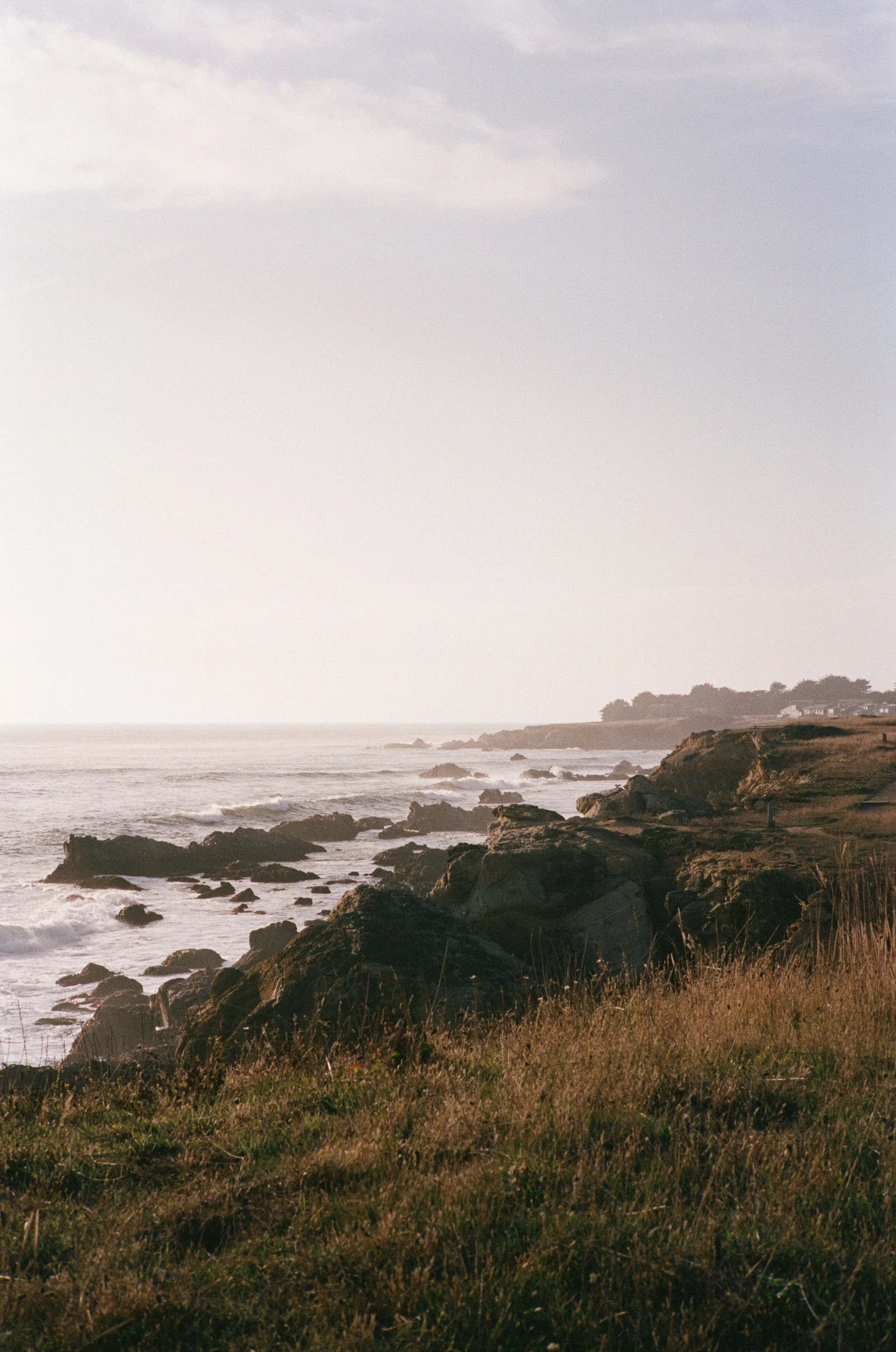Sea Ranch Wedding California Film Wedding Photographer