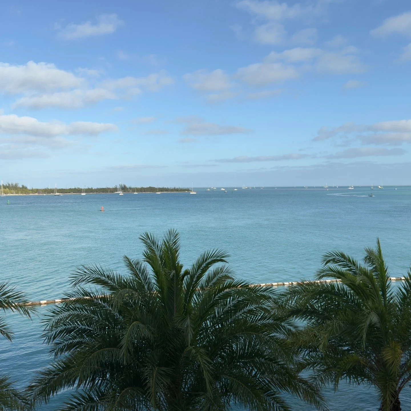 Our Studio is so excited to share our on-going publications with you&mdash;a behind-the-scenes look at how photography, design, and storytelling come together at Lisa Strusowski Studio. 

Think of it as a preview of our upcoming digital magazine publ