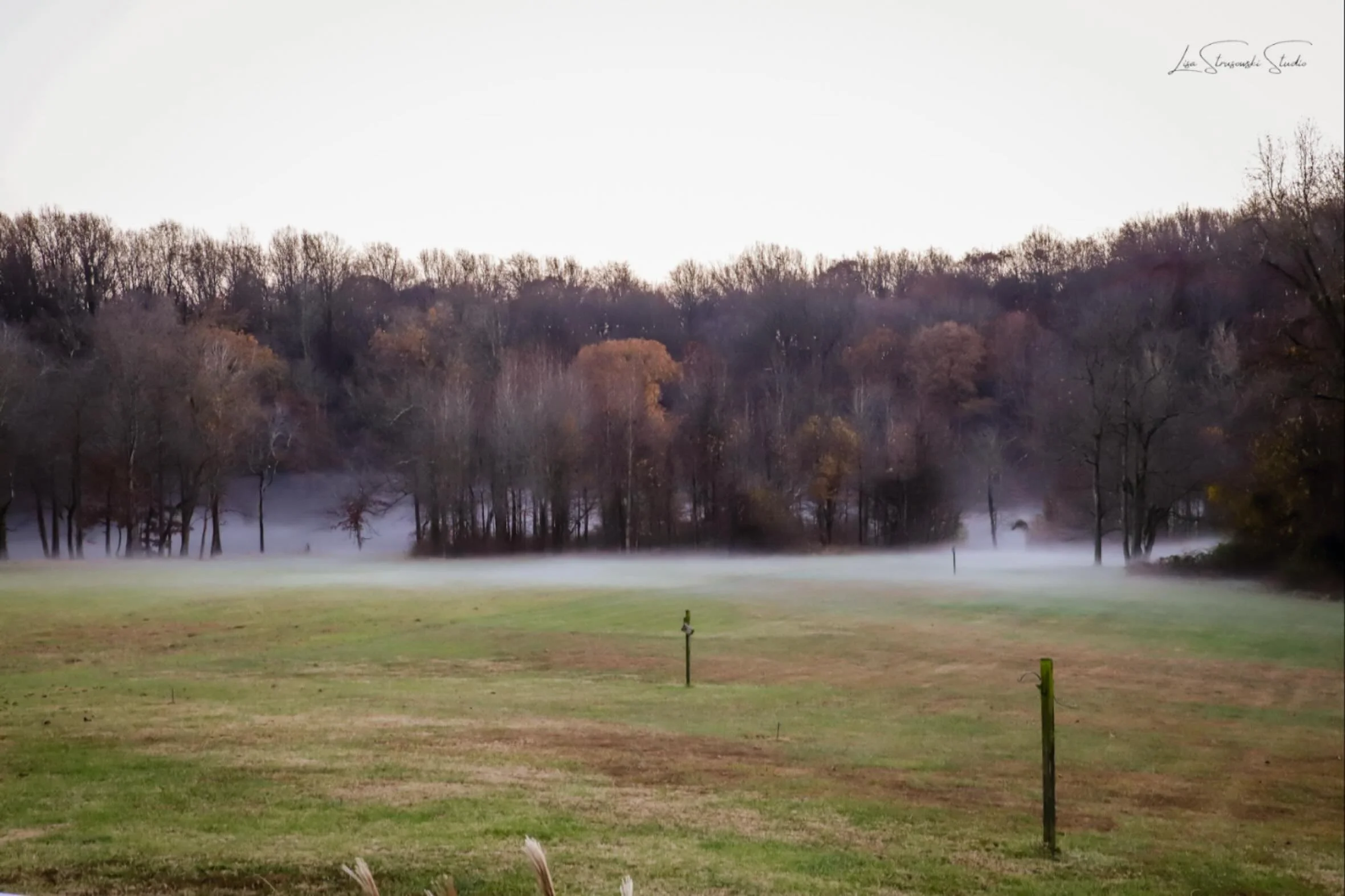 LOCAL LIFE: Foggy Fall Day with warm weather and leaves changing

Photography + Videography + Design | Destinations, Cuisine, Lifestyle, &amp; Events

Free Digital Magazines Premiering Early 2026 - Modern Stories | Authentic Style | Timeless Experien