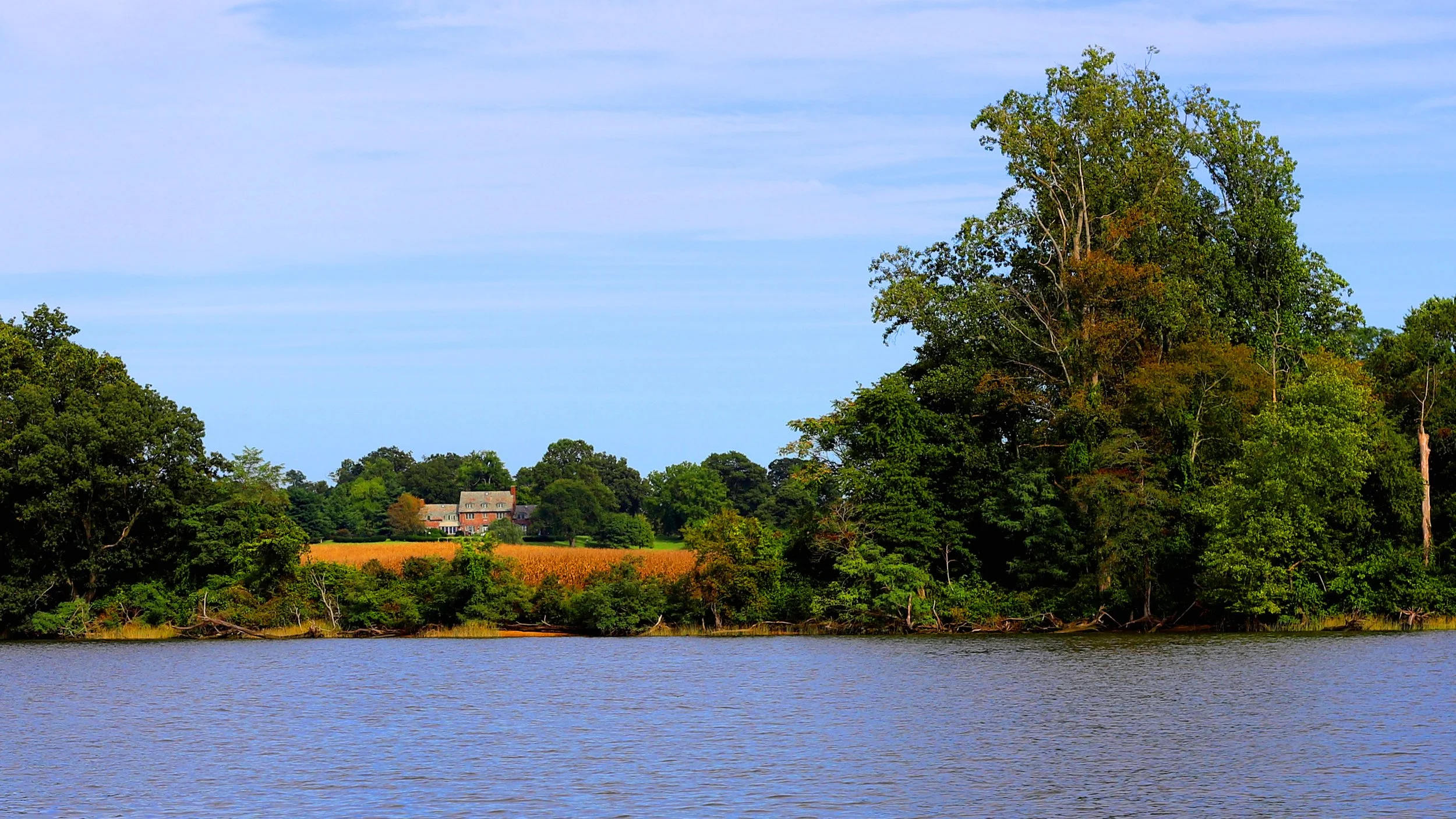 OldhouseBohemiaRiver copy.jpg