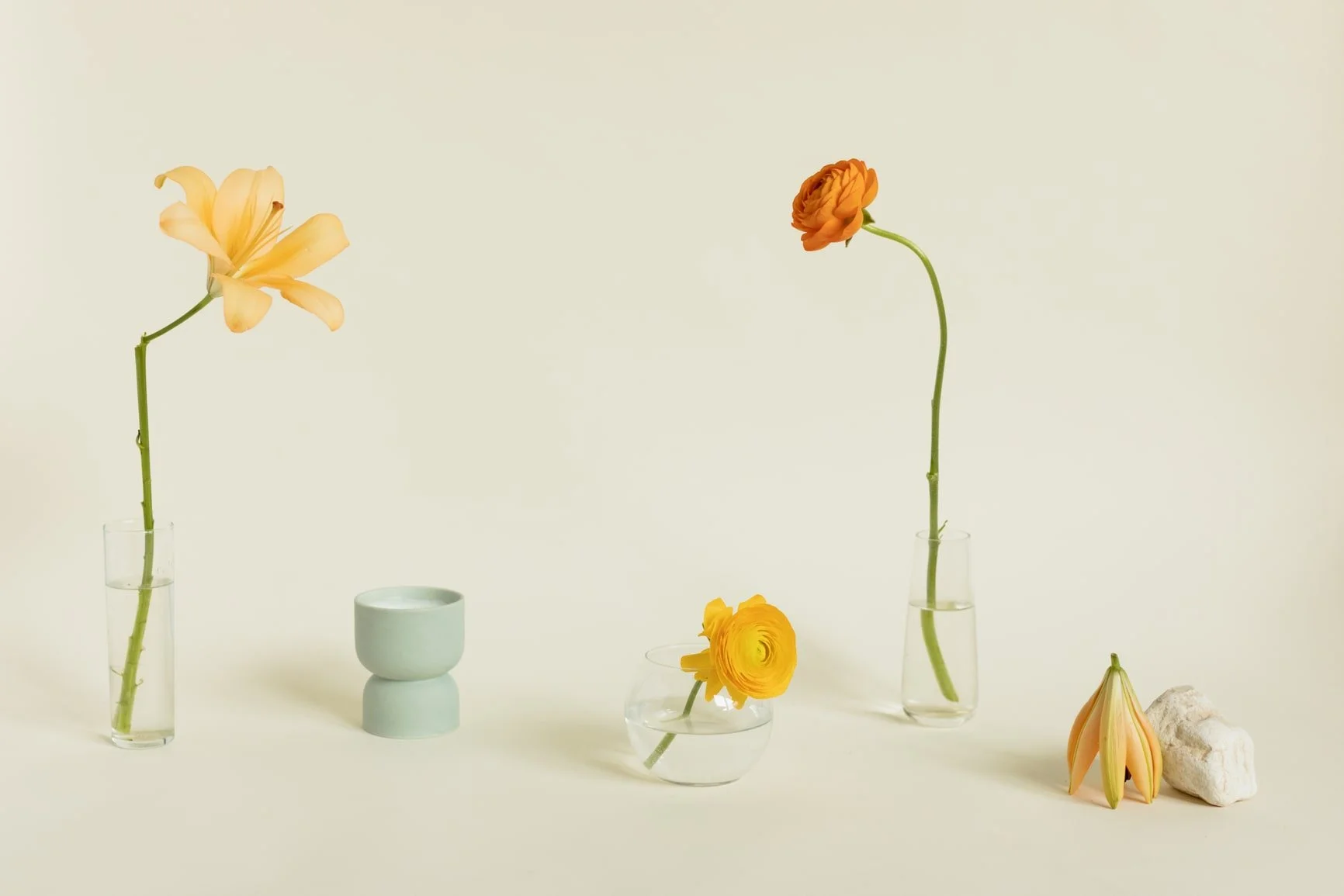 Minimalist still life of single flowers in glass vases on a beige backdrop