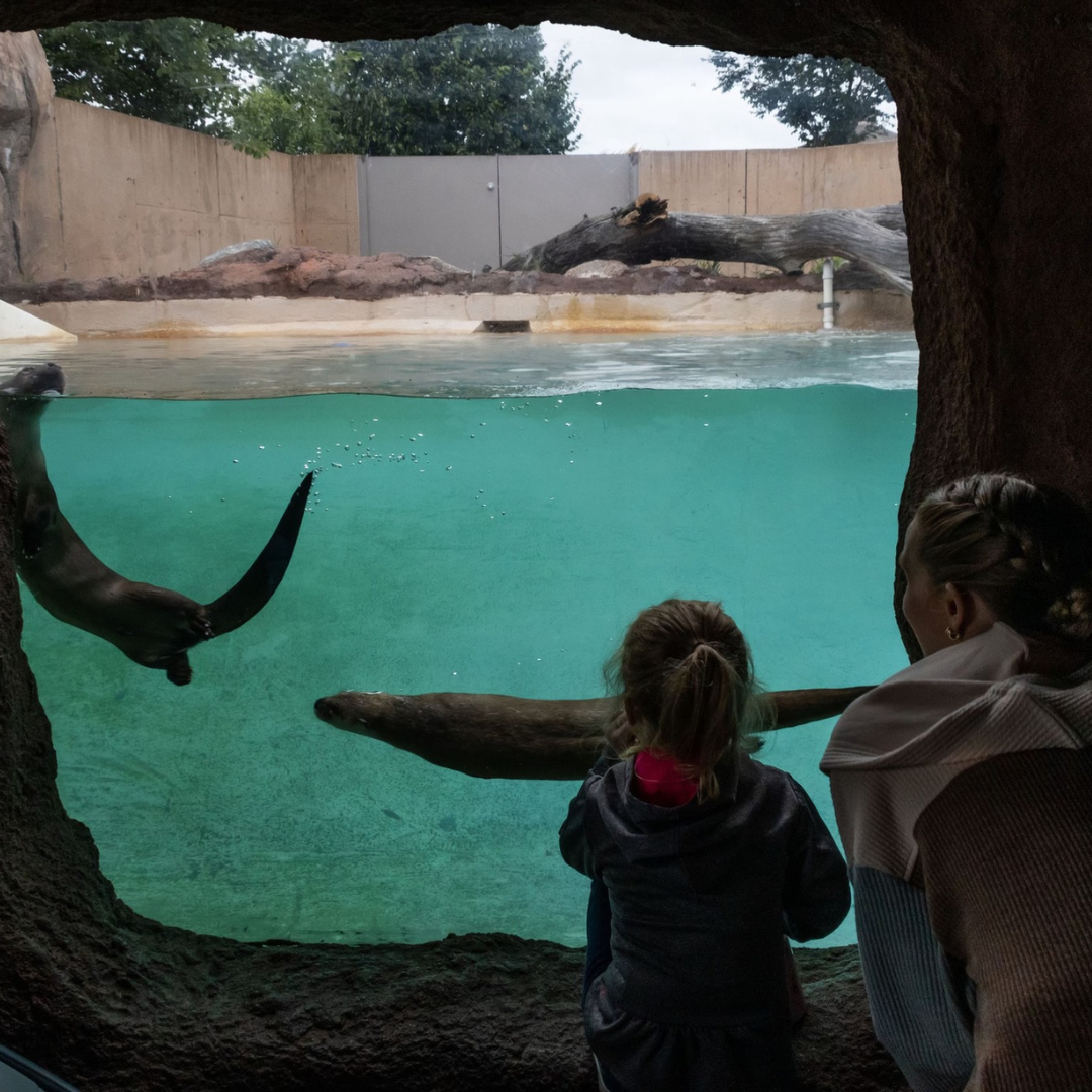 Membership - Zoo.png