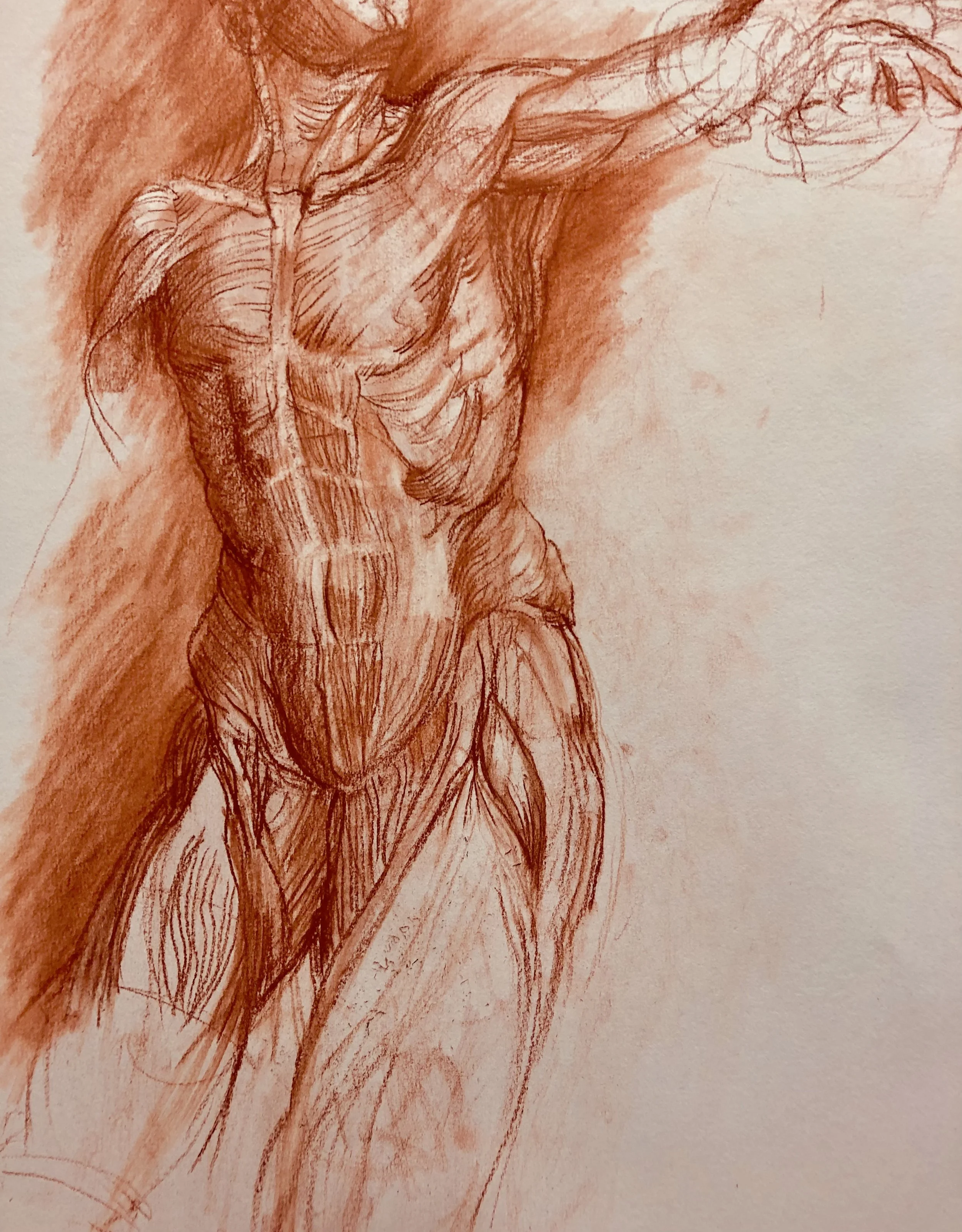 Life Drawing in charcoal for Northlight Life Drawing Course