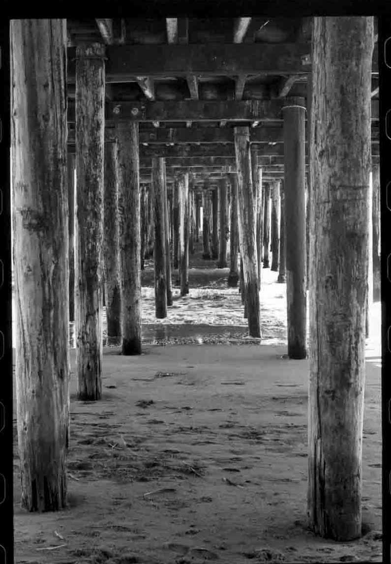 Jacqueline Butterfield