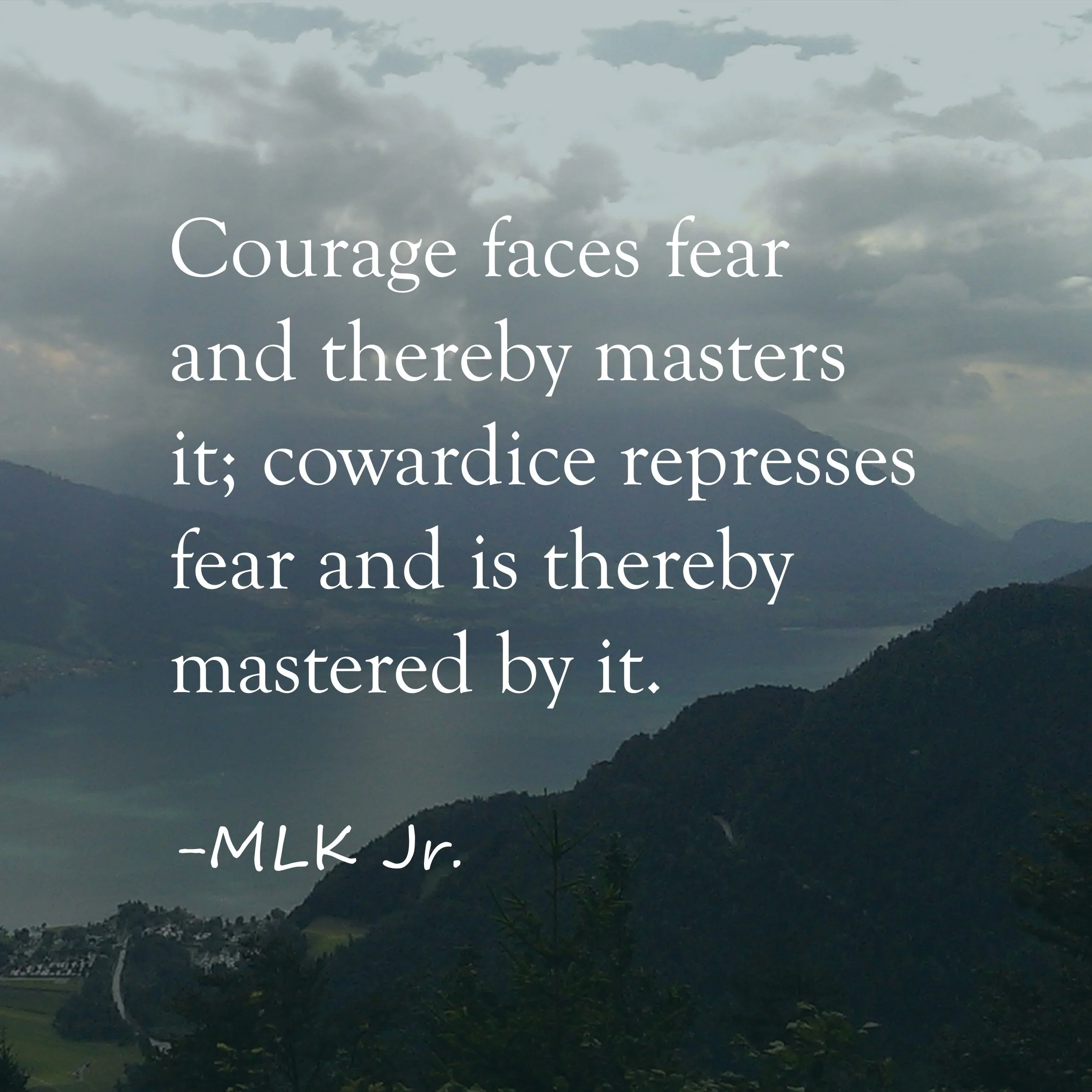 #mlkjr #courage #fear #quotes #wisdom #advice #mindset #growthmindset #positivethinking #selfdevelopment #personaldevelopment #pesonalgrowth