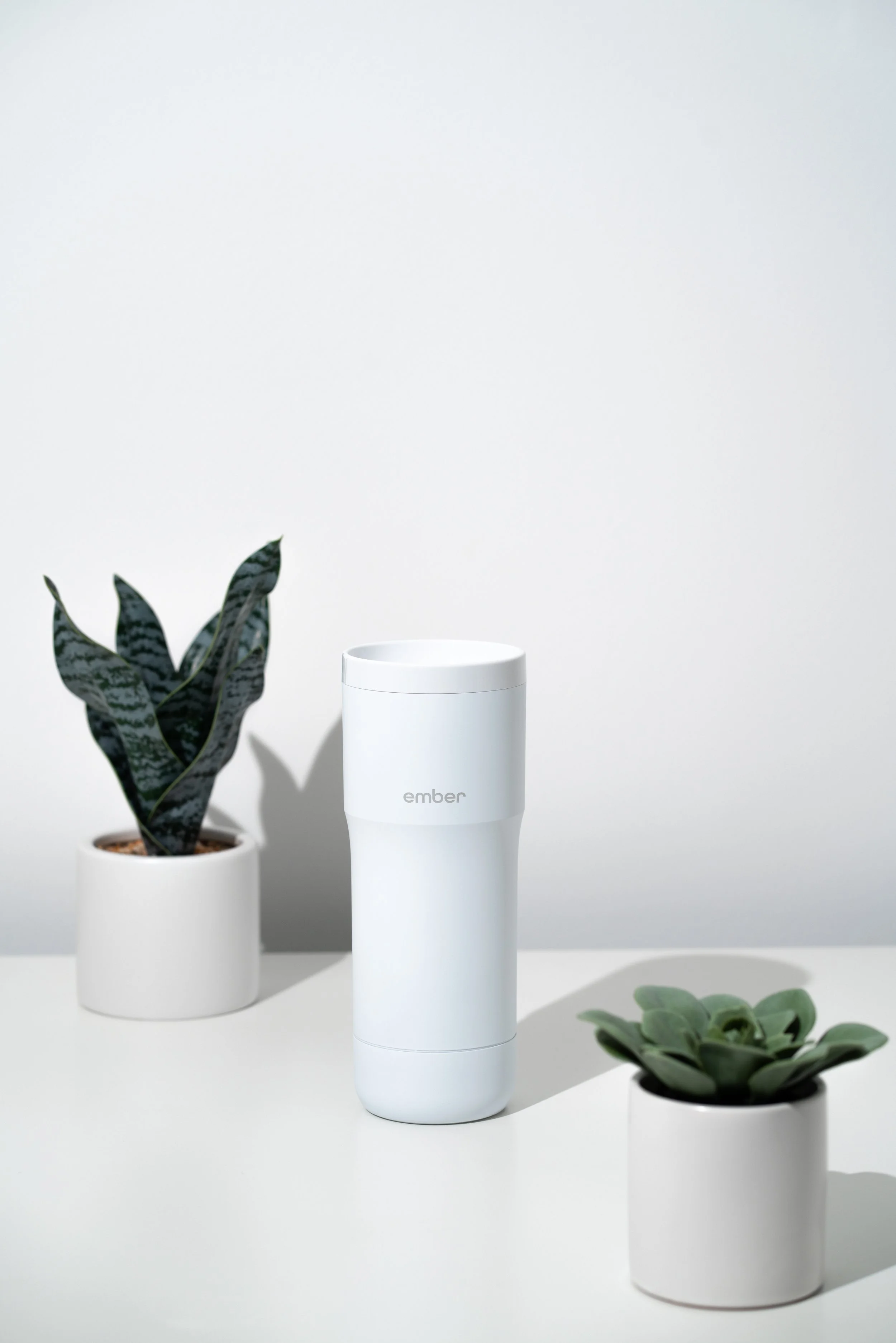 Ember - Simple on White - Favorites-29.JPEG