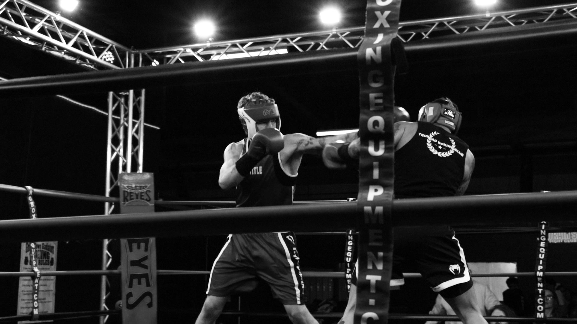 Golden Gloves 2026