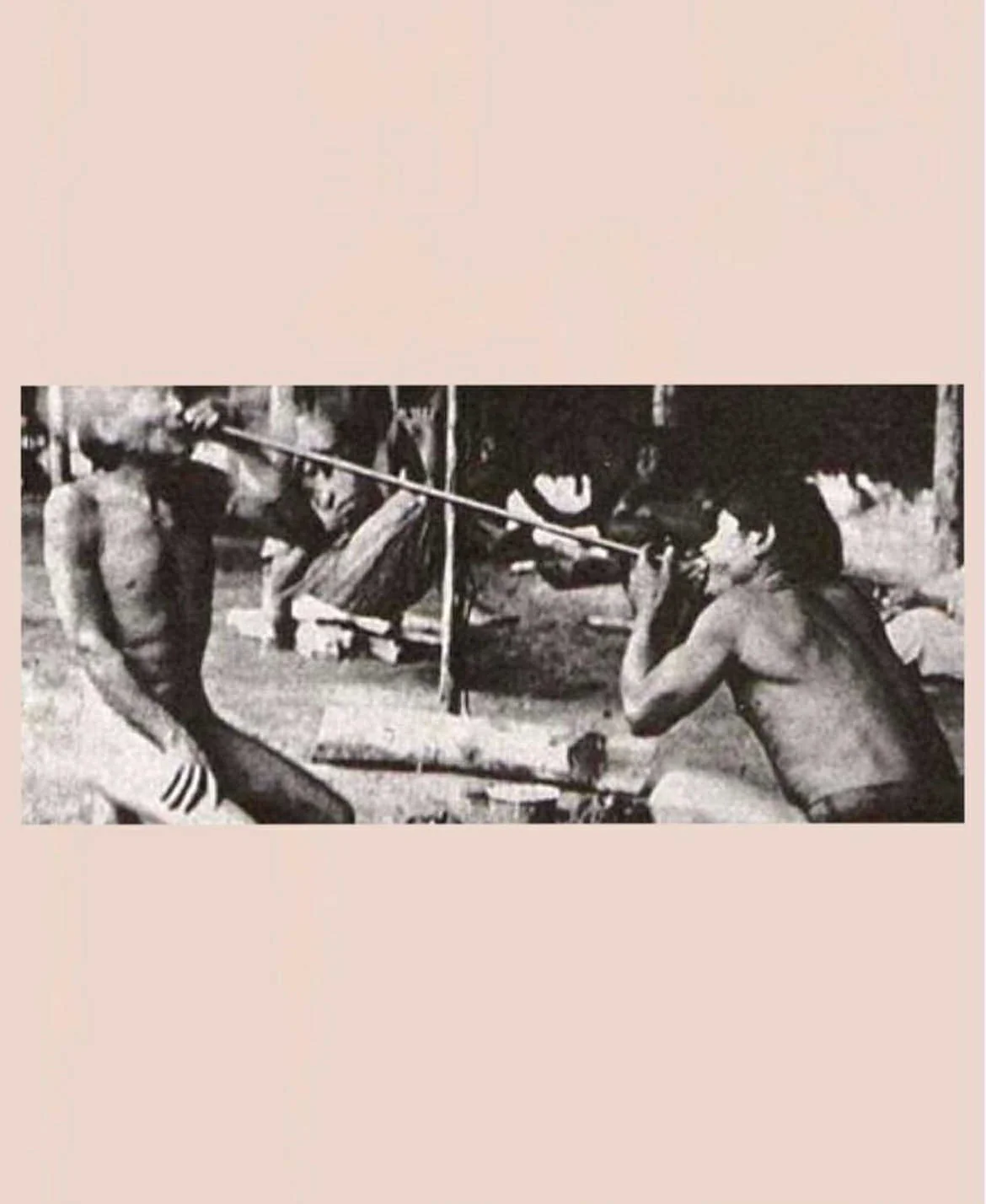 Credit: Theresa (last name unknown) | Originally posted: 2/13/19