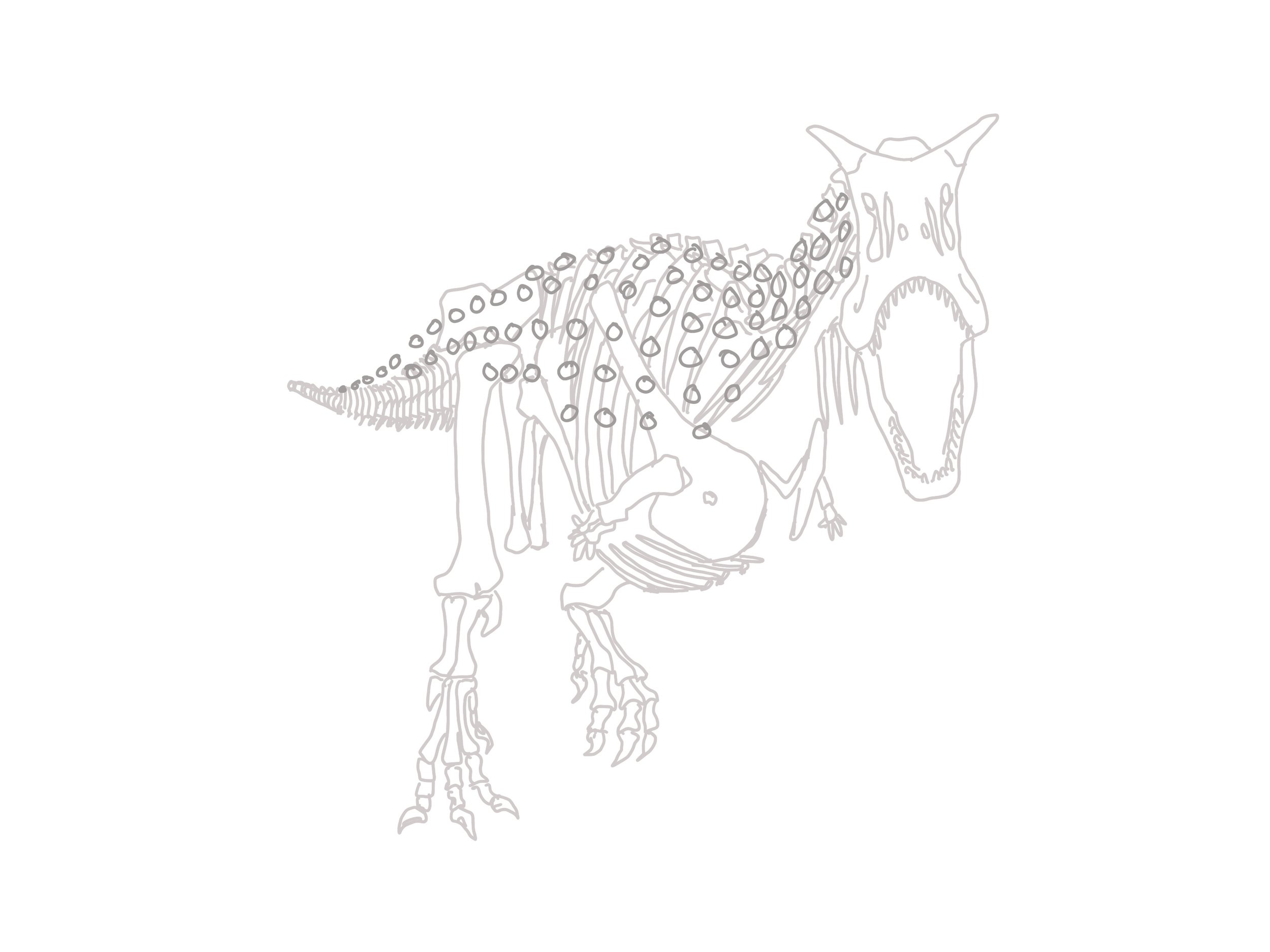 Colouring In Activity