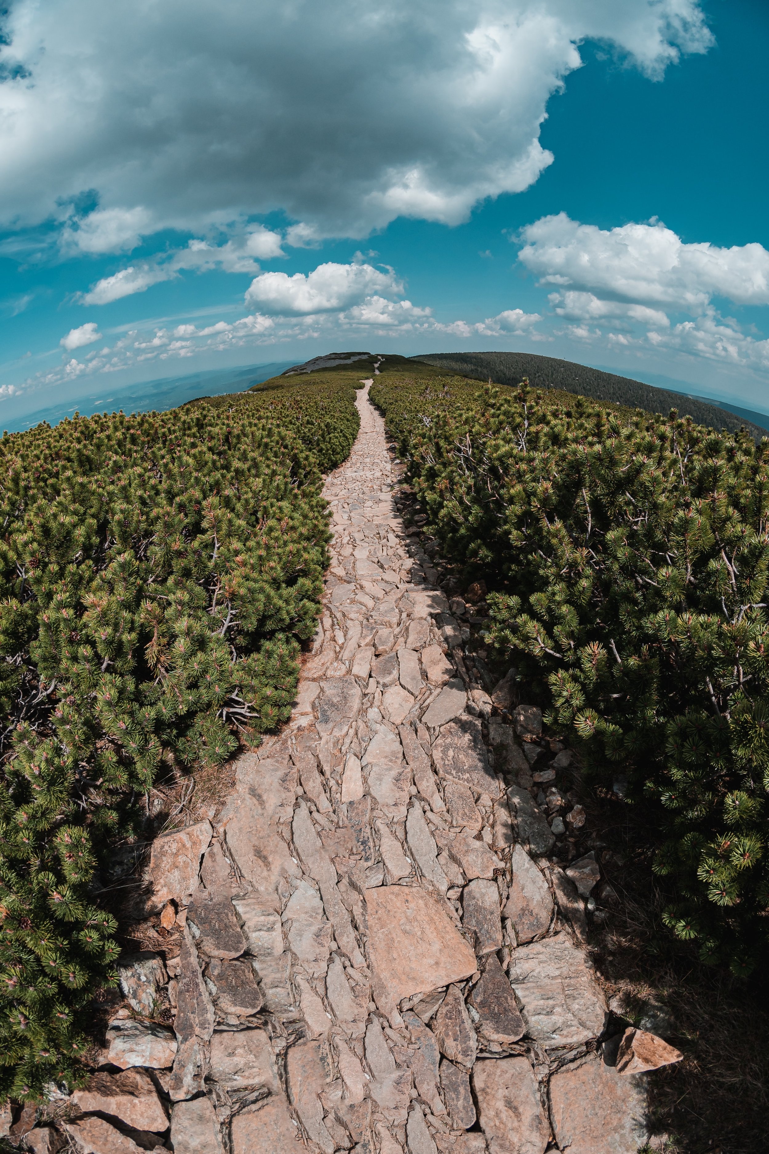 IT Career Coaching: Charting a Clear Path in the Digital Labyrinth 