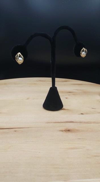 10036a3a-1326-46a8-a23e-658af02bb50d_MP4_AdobeExpress.gif