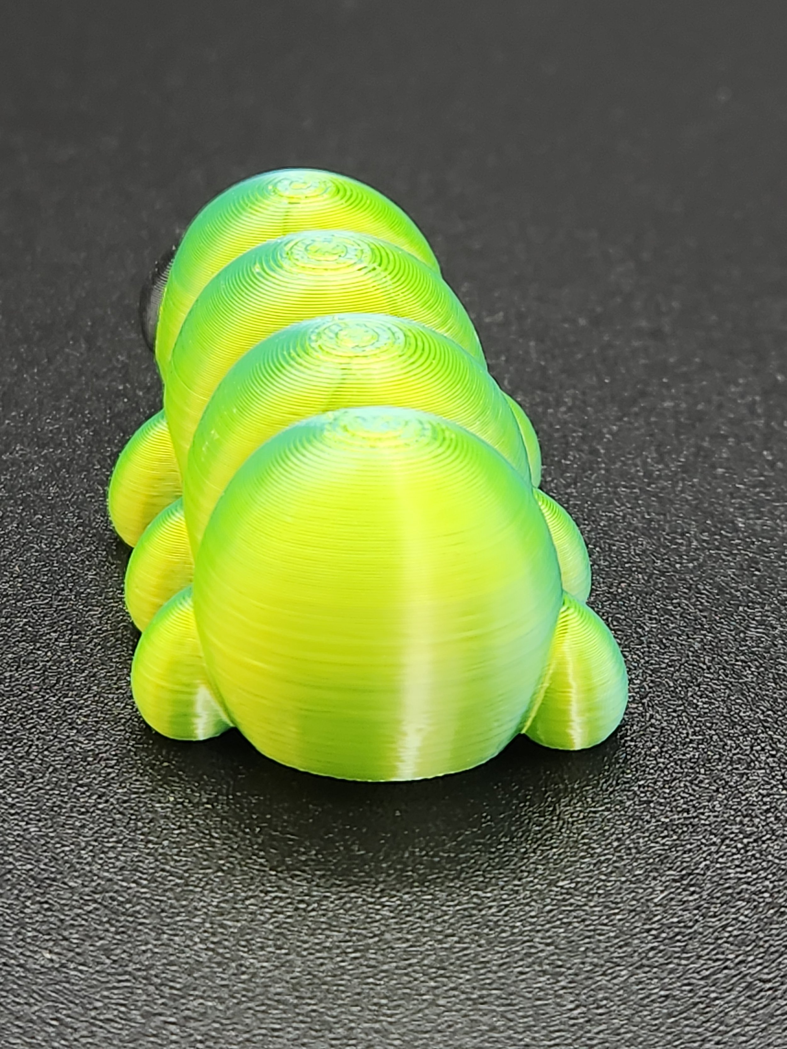 Caterpillar-3.jpg