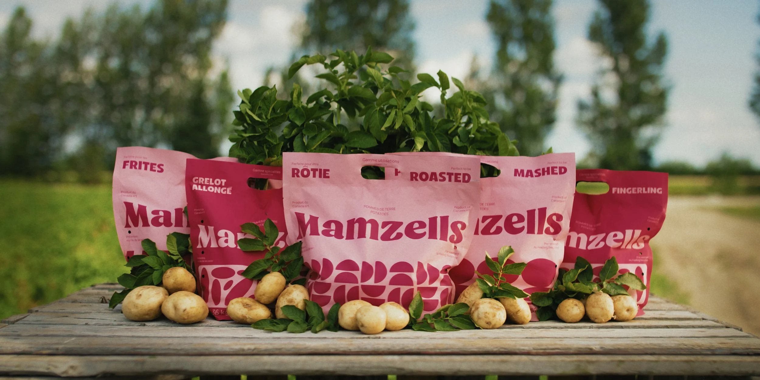 Propur x Mamzells