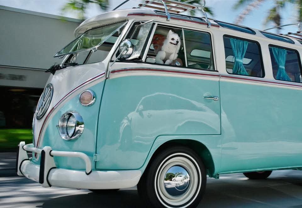 WhatsApp Image 2025-11-24 at 2.41.21 PM (4).jpeg