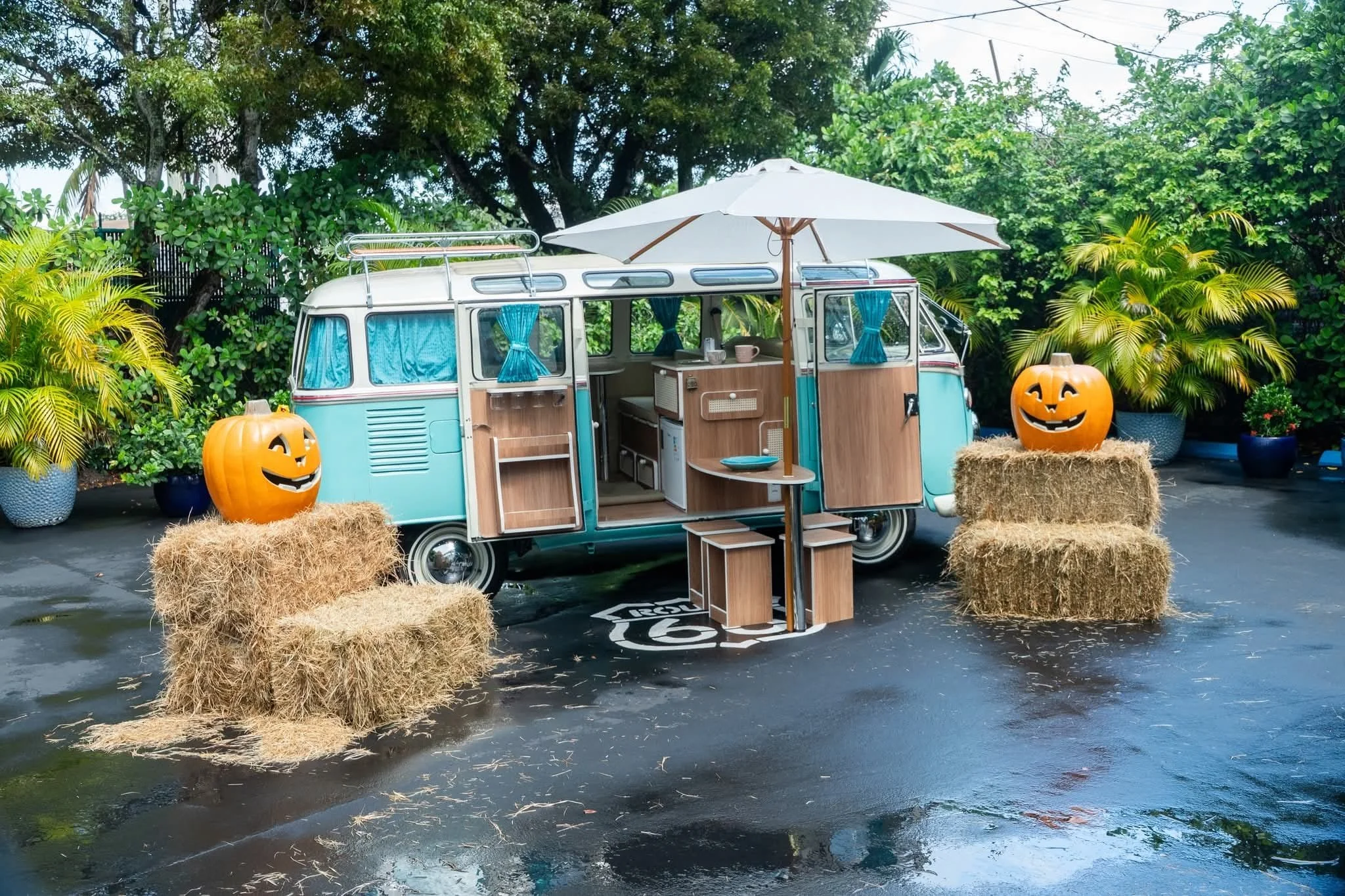 WhatsApp Image 2025-11-24 at 2.41.30 PM.jpeg