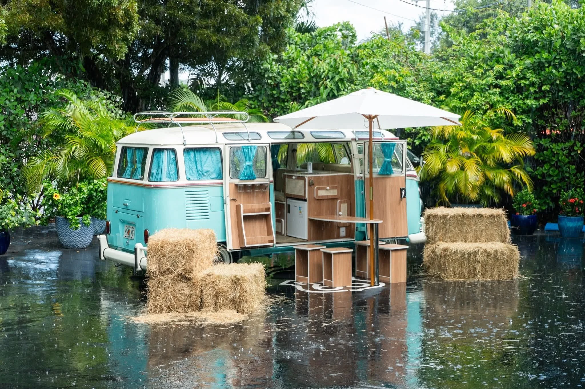 WhatsApp Image 2025-11-24 at 2.41.29 PM (6).jpeg