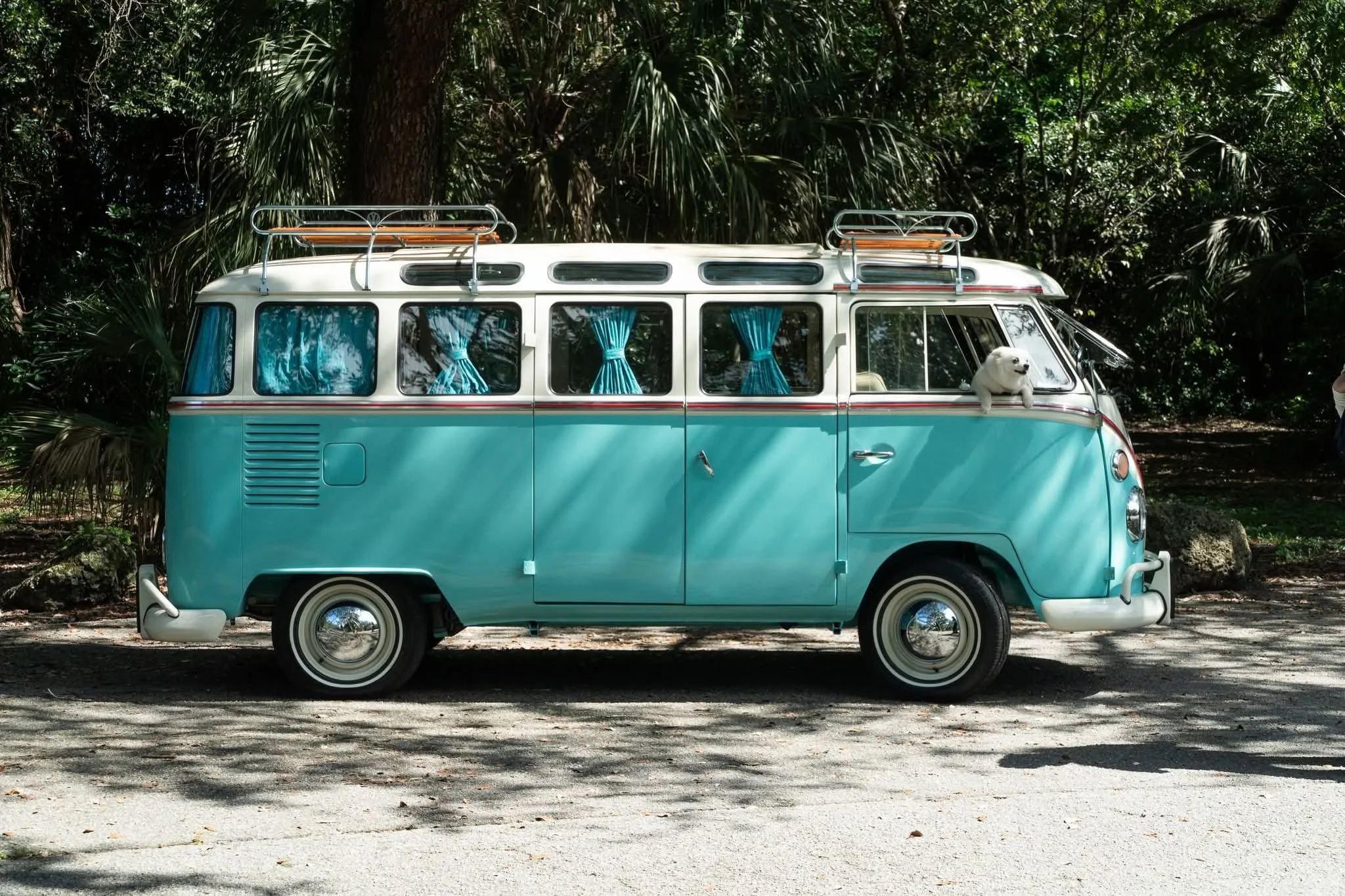 WhatsApp Image 2025-11-24 at 2.41.22 PM (3).jpeg