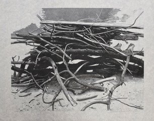 Log-Pile-Variation.jpeg