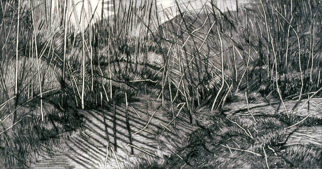 twig-forest.png