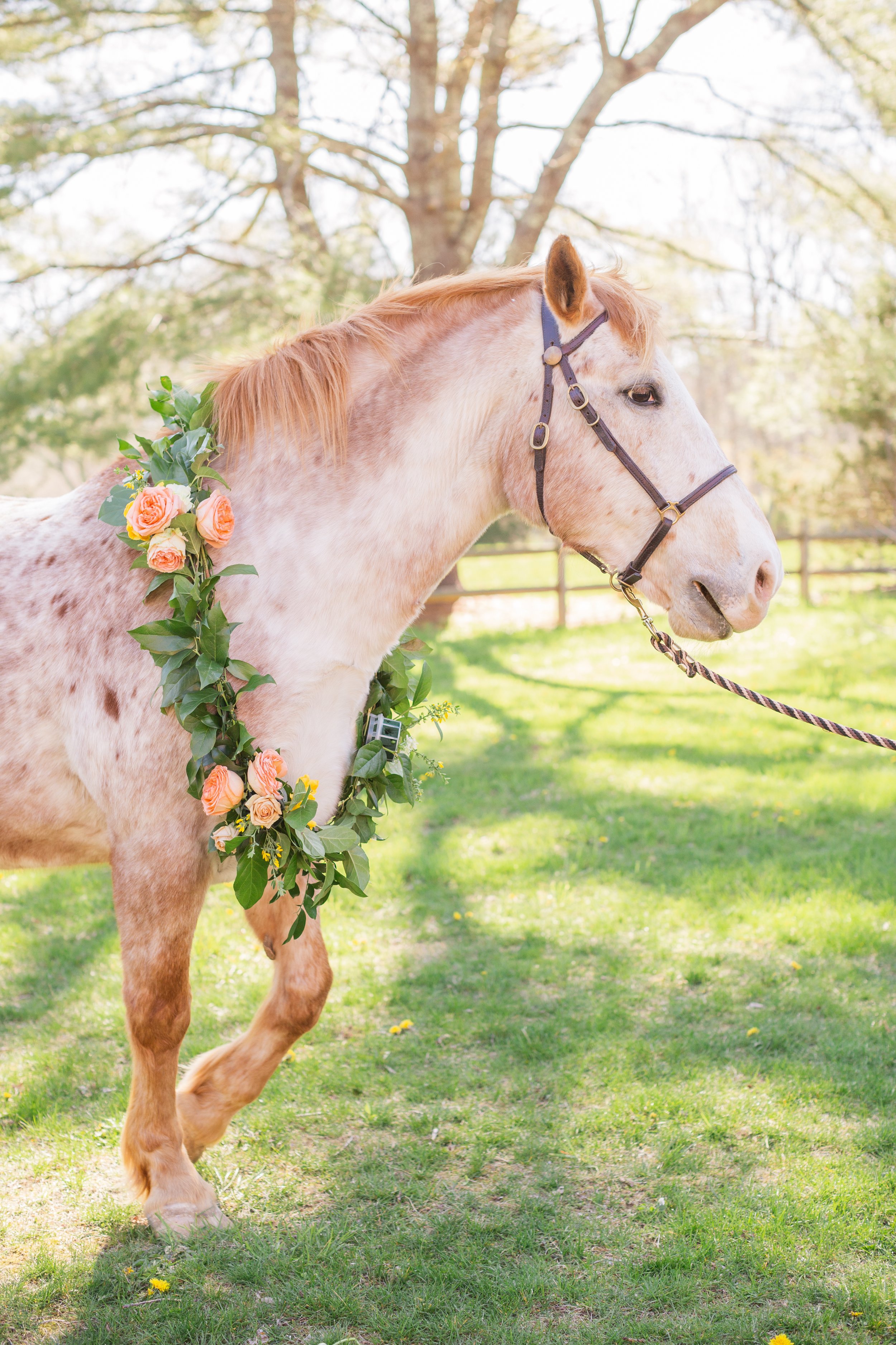 LauraKlacikPhotography-KentuckyDerby-StyledShoot-212.jpg