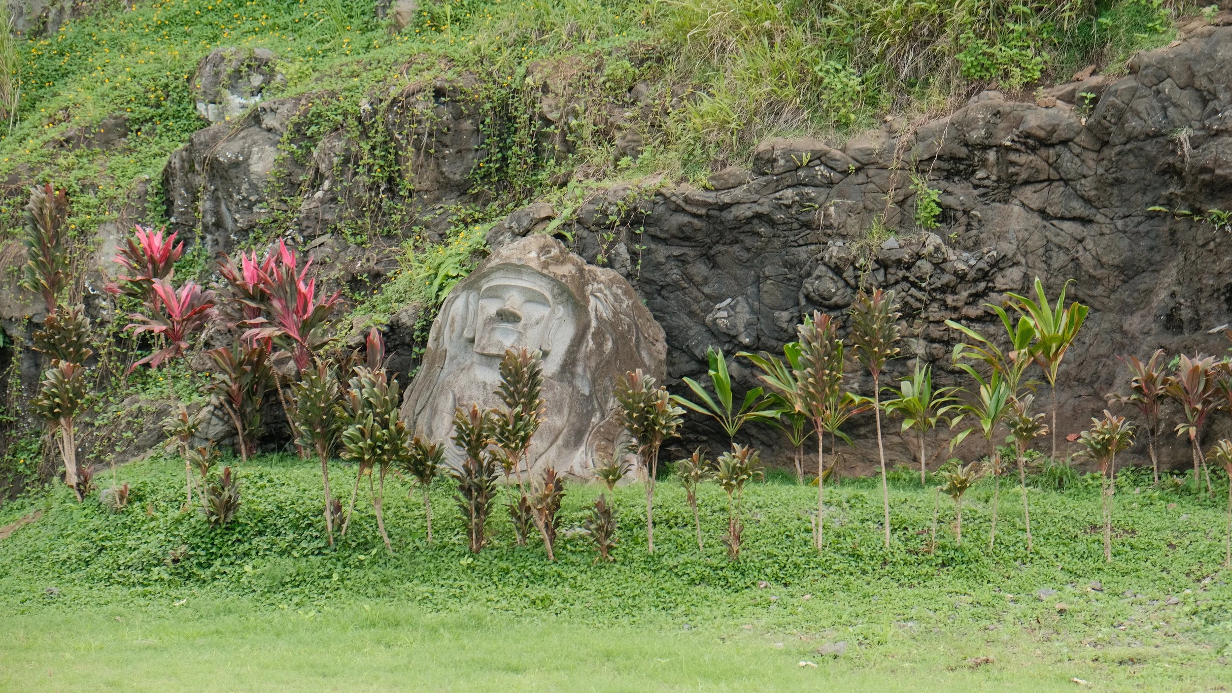 DSCF7402.JPG