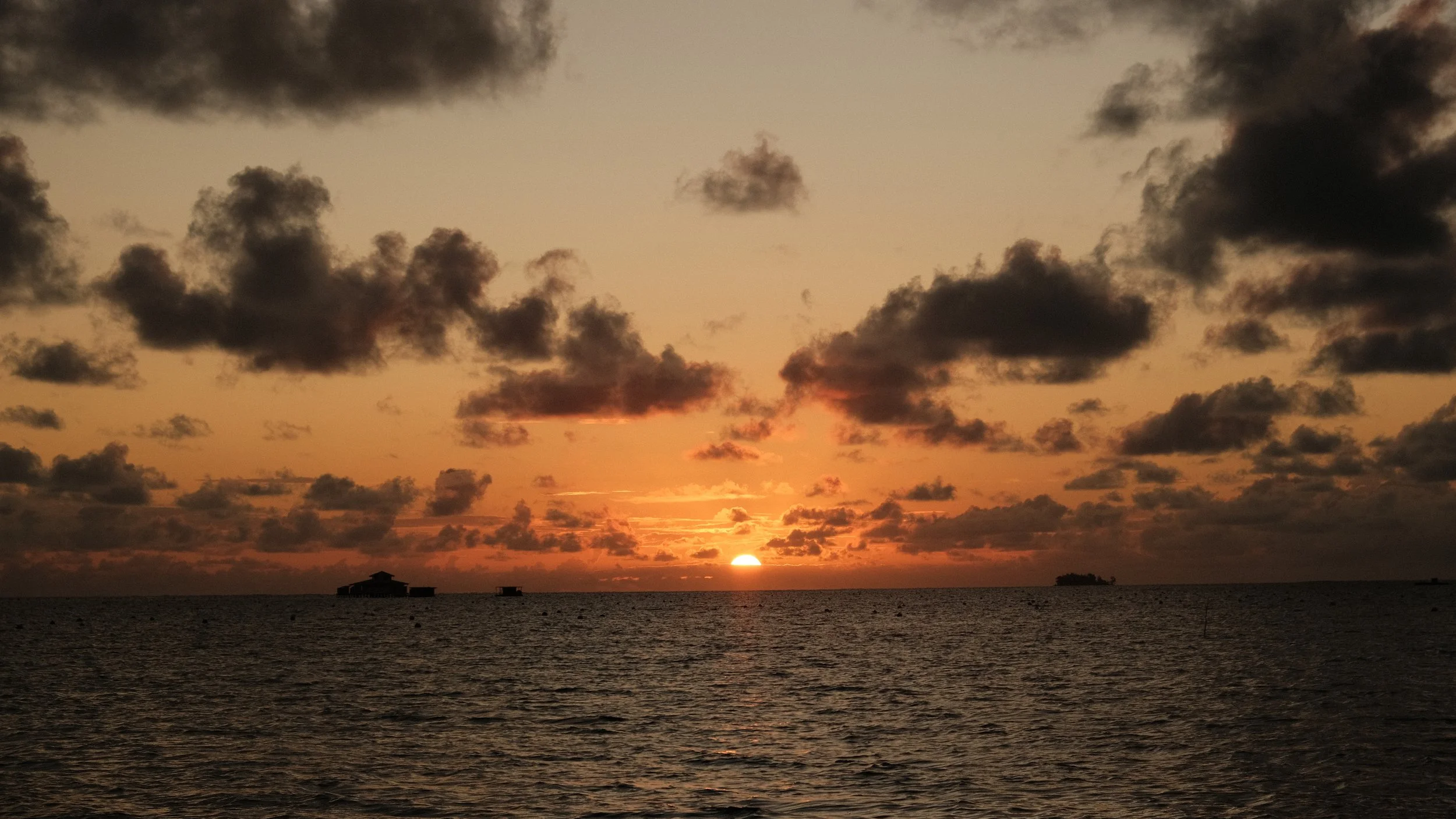 DSCF8209.JPG