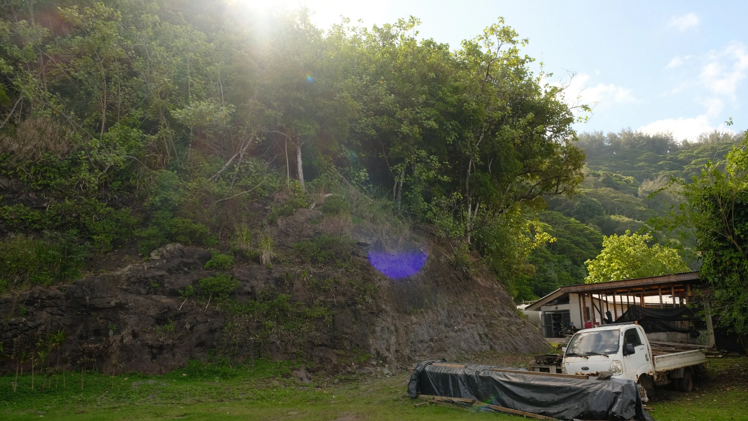 DSCF7254.JPG