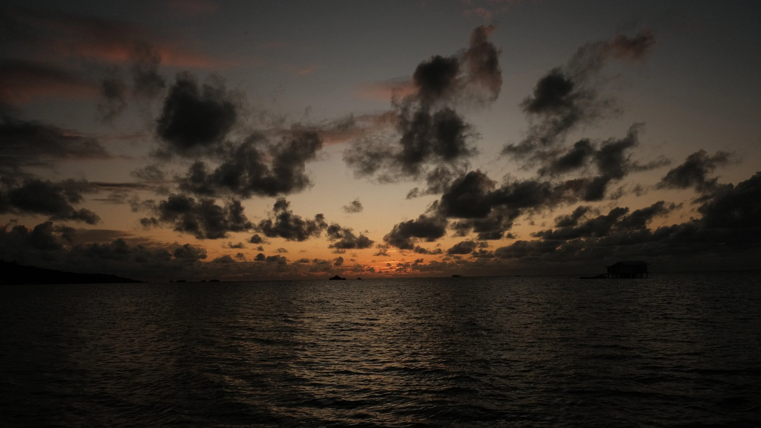DSCF8212.JPG