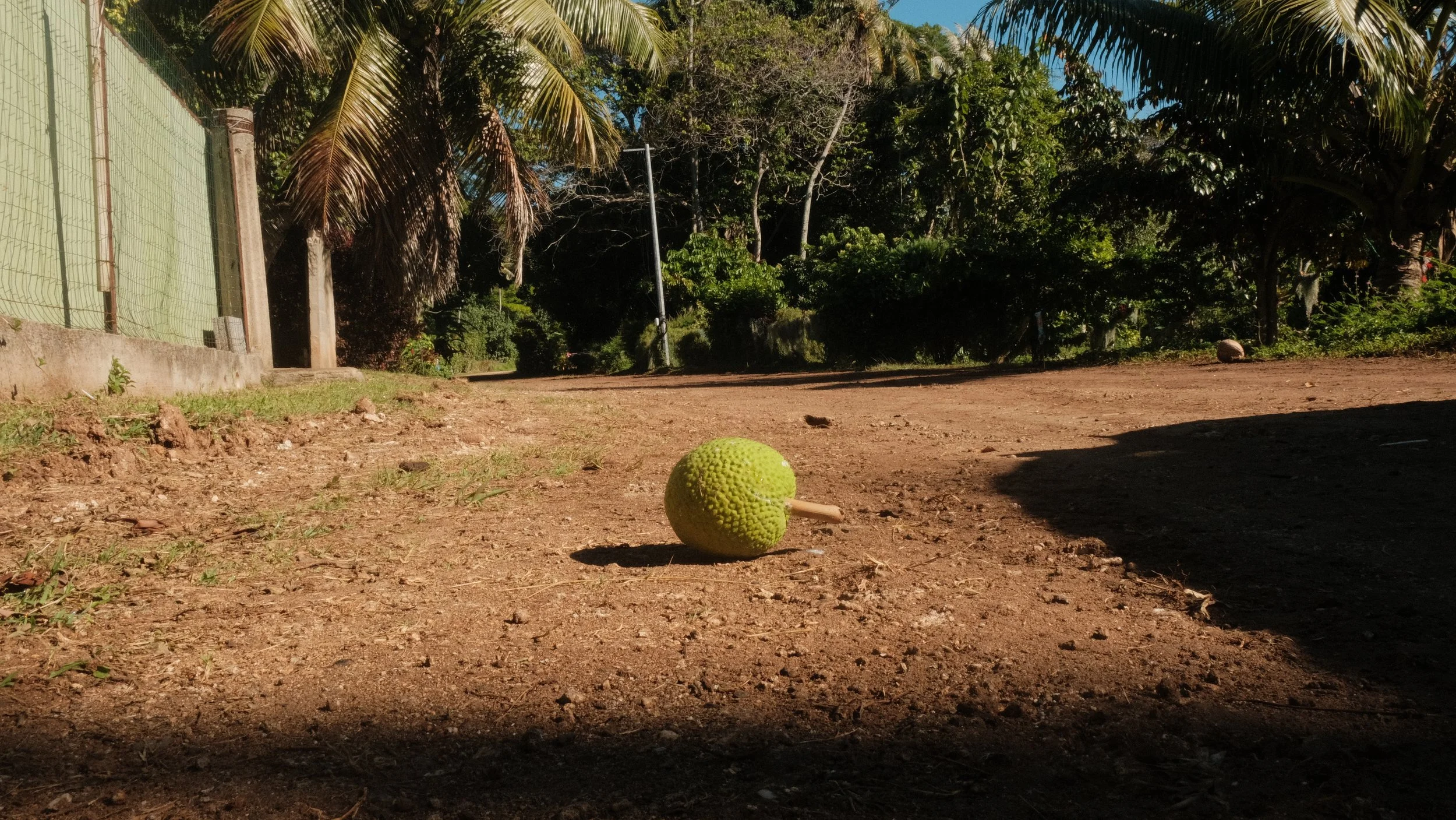 DSCF8149.JPG