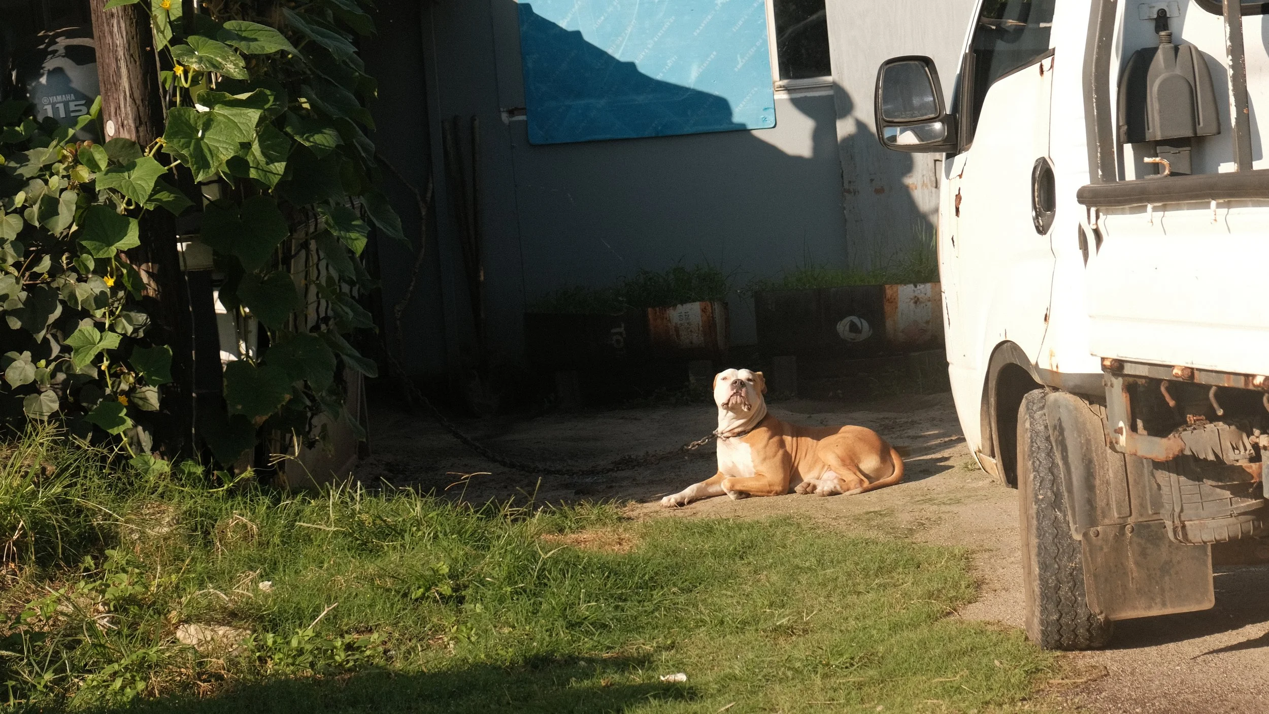 DSCF8409.JPG