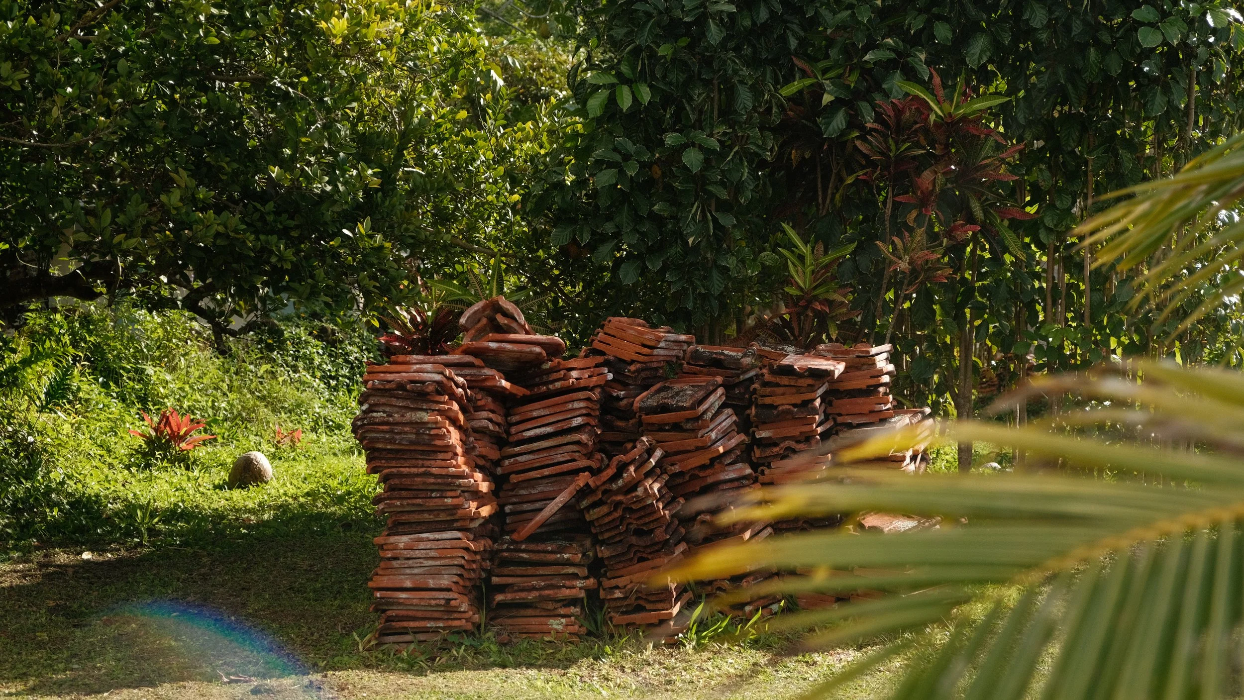 DSCF7660.JPG