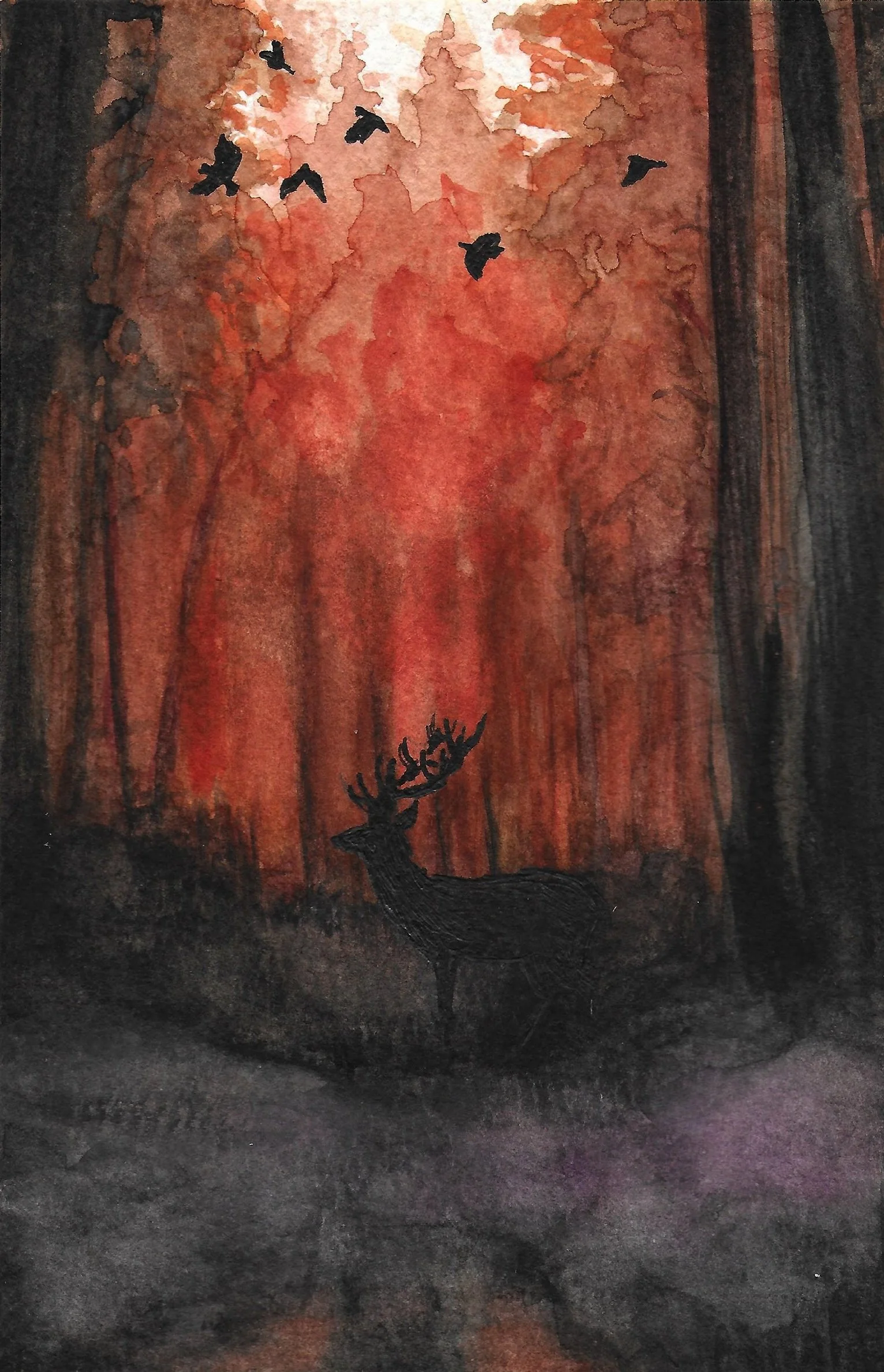 Into the near darkness