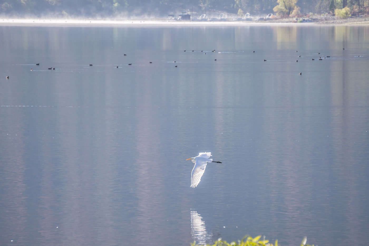 Bass Lake reflections, a short drive form Jackass Hostel on the way to Yosemite National Park. Photo by Kim Lawson 