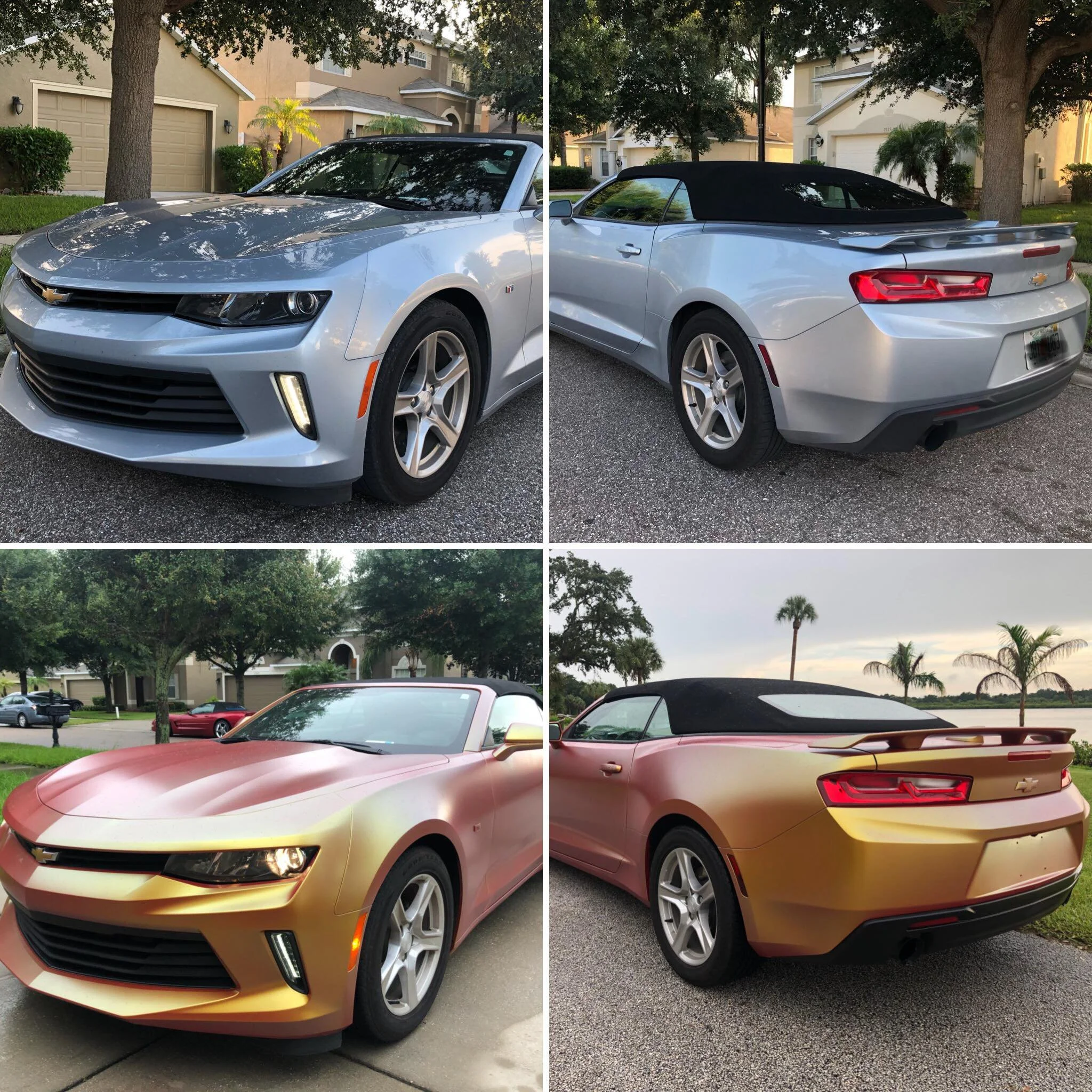 Chevy Camaro spray wrap