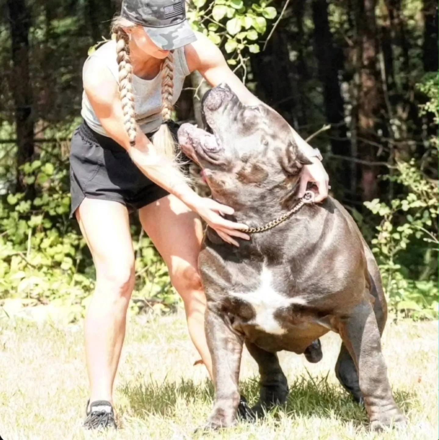 A woman with long braided hair, wearing a camouflage cap, sleeveless top, and shorts, is holding and hugging a large, muscular dog with a grayish-brown coat, in an outdoor setting with trees and grass.