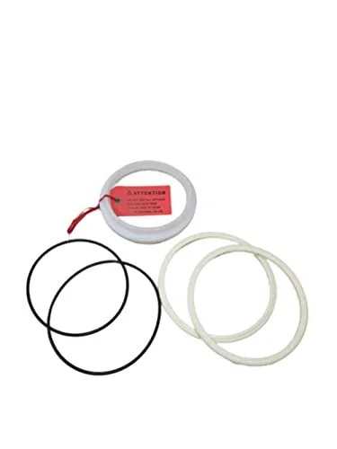 9166 VALVE REPAIR KIT 4"
