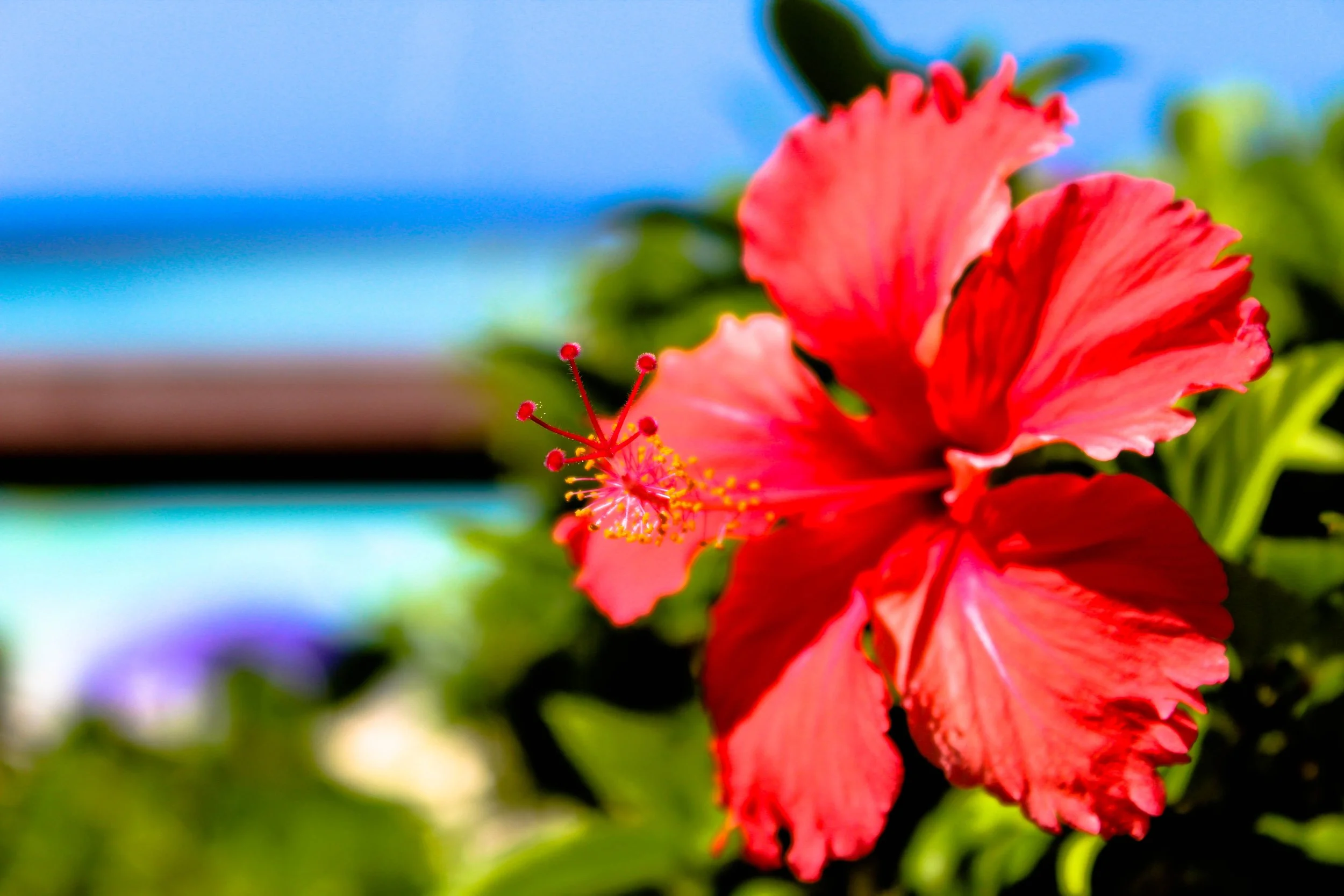 HYATT REGENCY GUAM BEACH