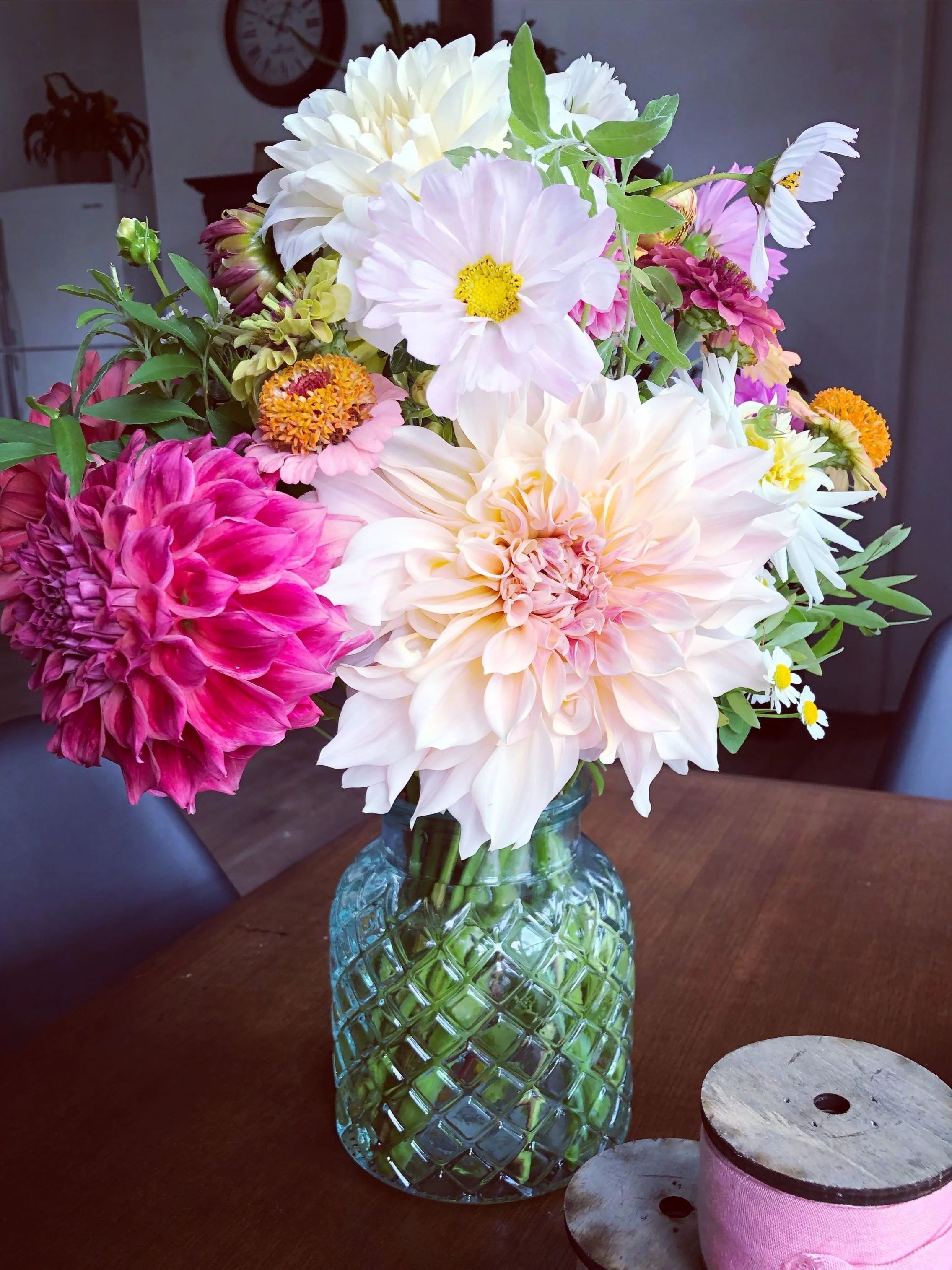 Willow Creek Farm Meadows